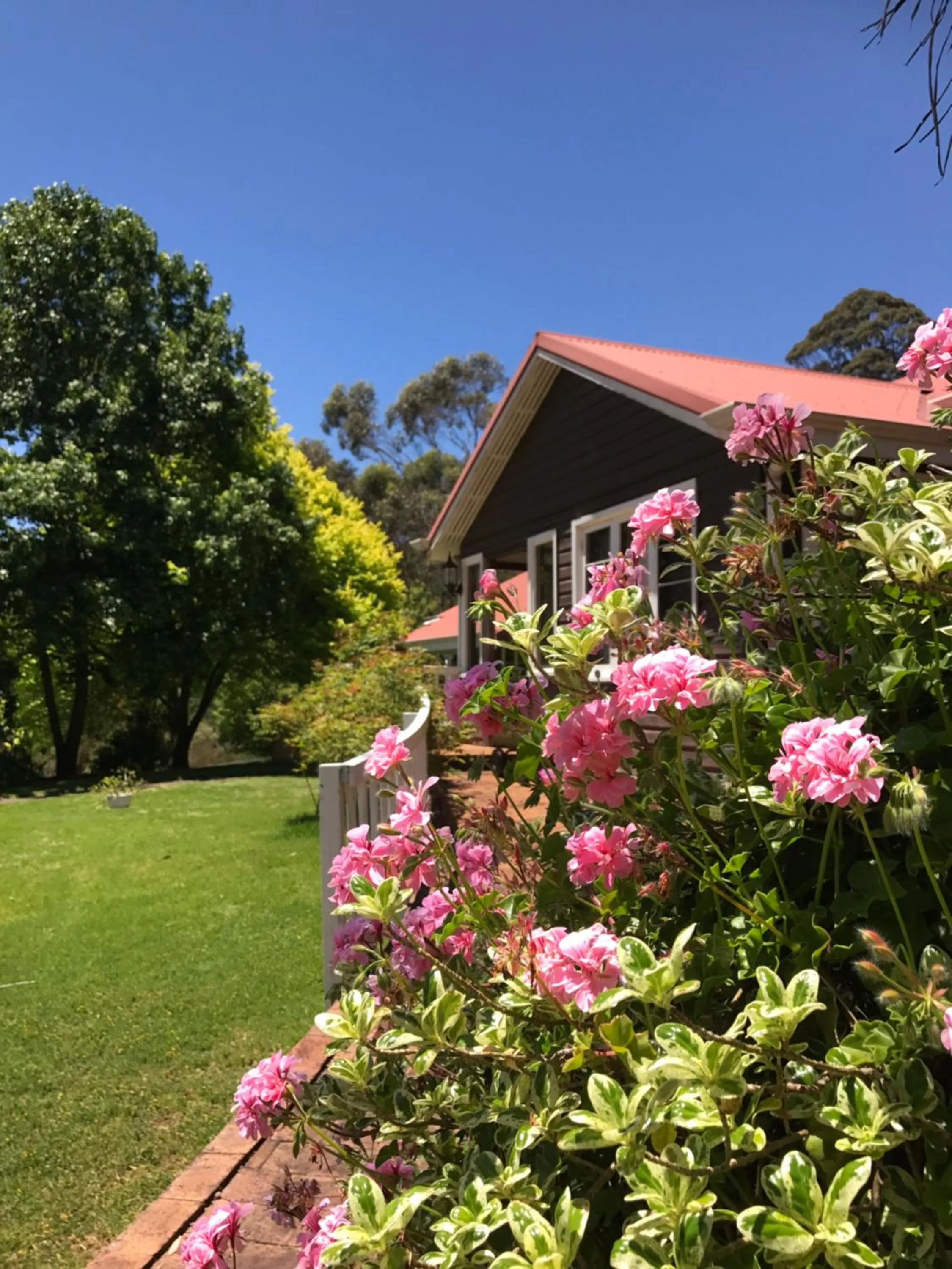 Spring in Forest Lodge Resort