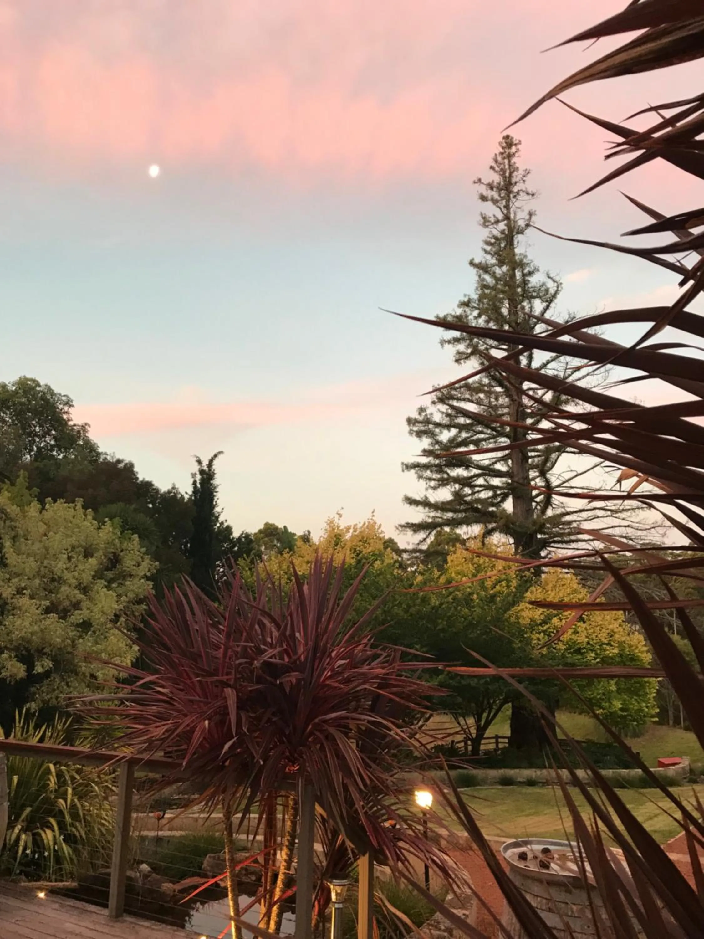 Natural landscape in Forest Lodge Resort