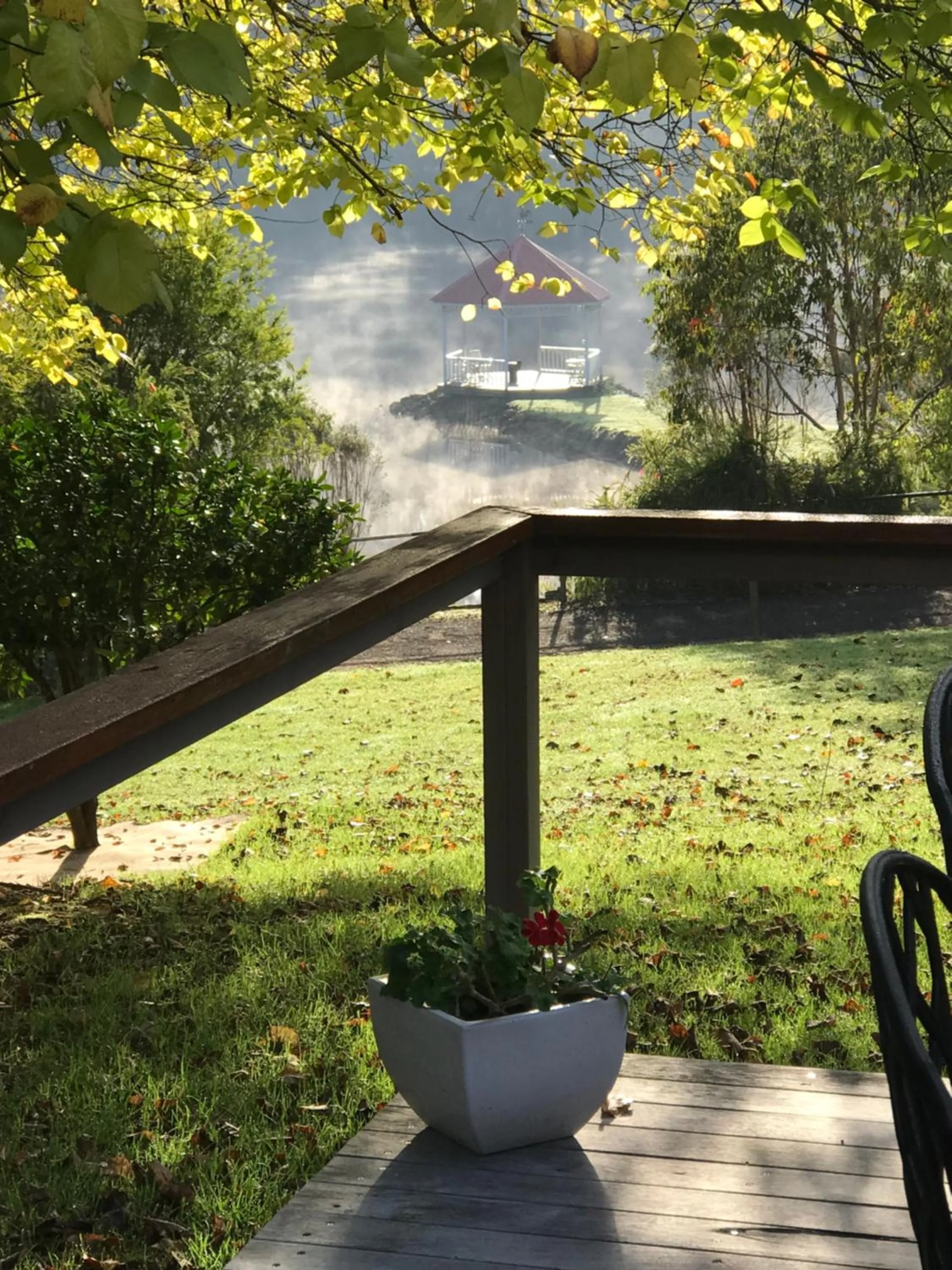 Patio in Forest Lodge Resort
