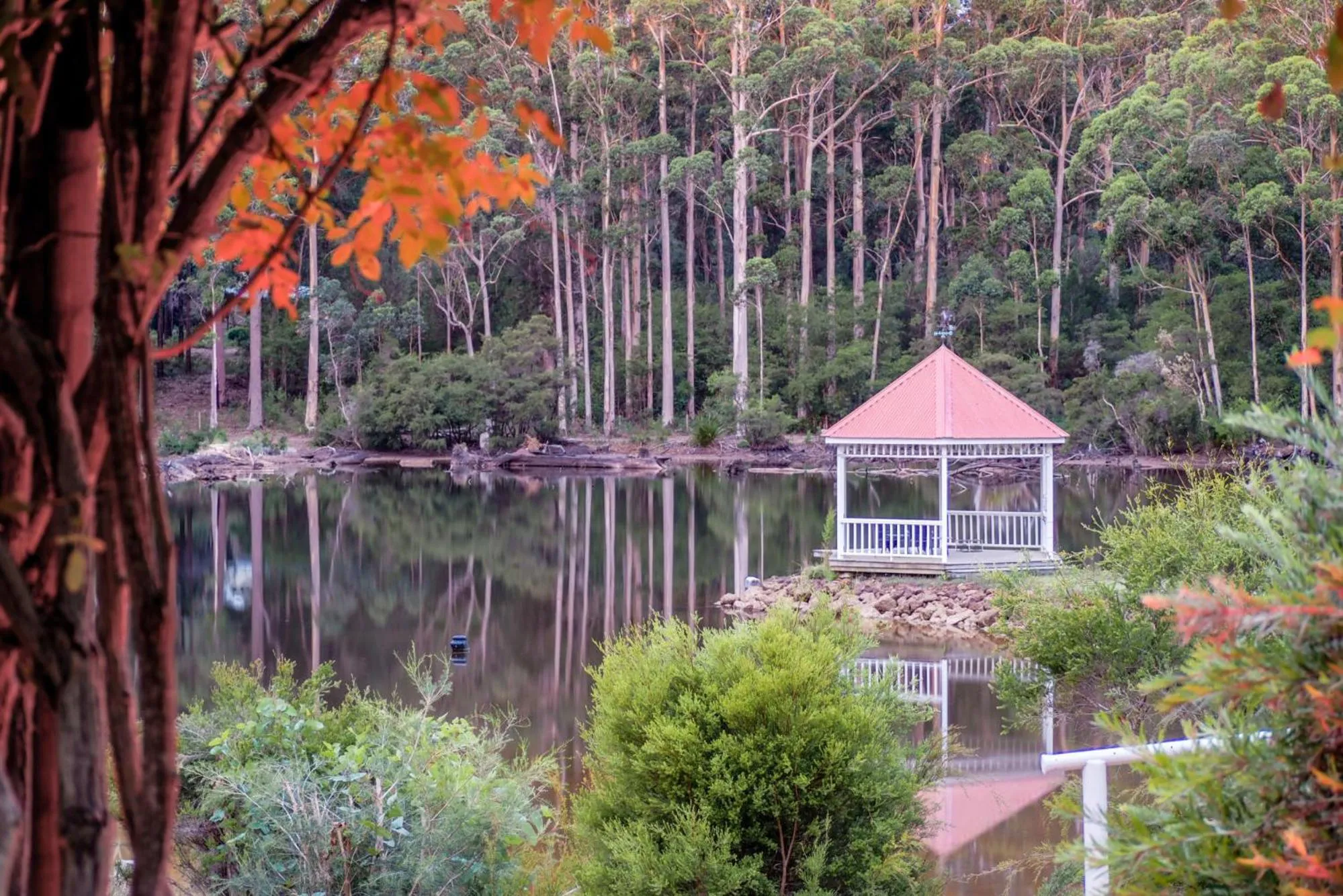 Natural landscape in Forest Lodge Resort