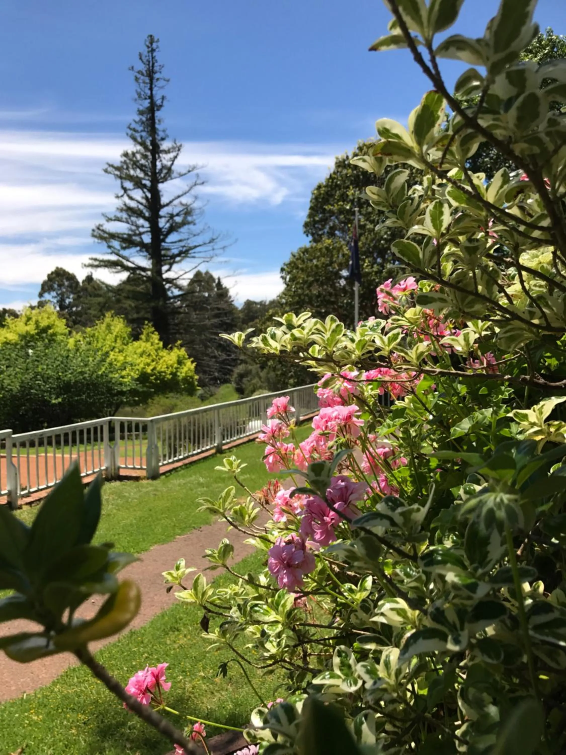 Garden in Forest Lodge Resort