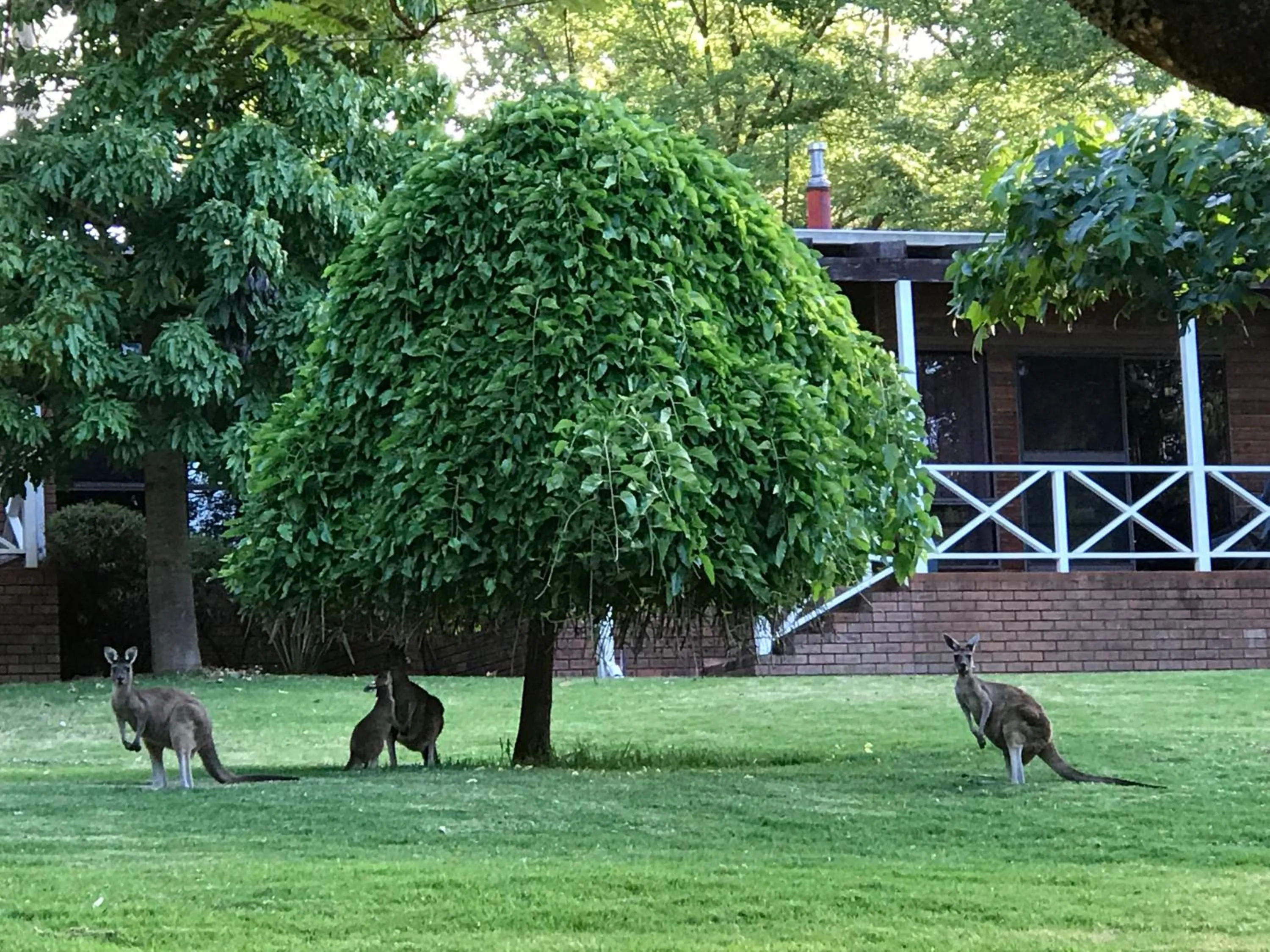 Day in Forest Lodge Resort