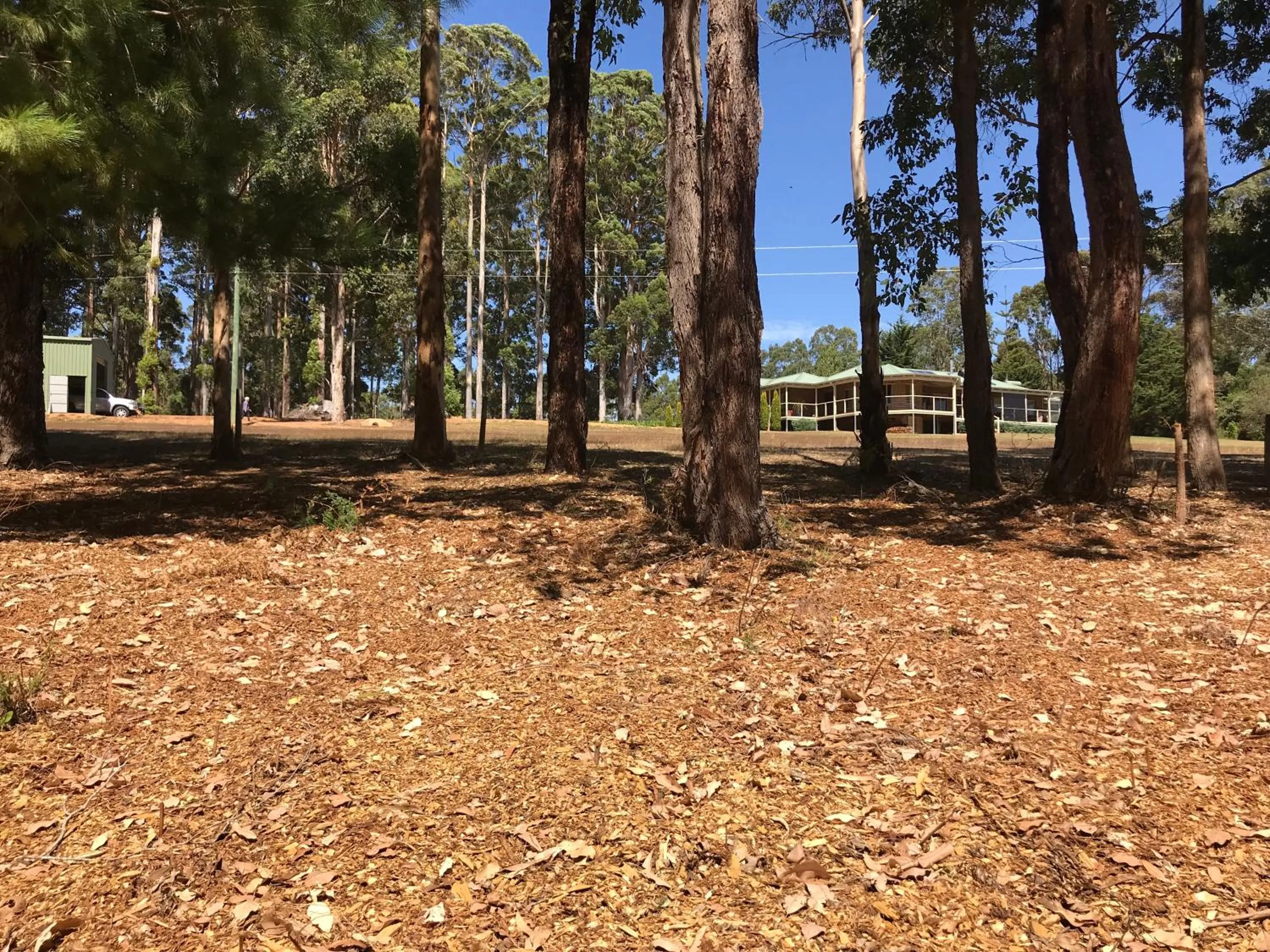 Day in Forest Lodge Resort