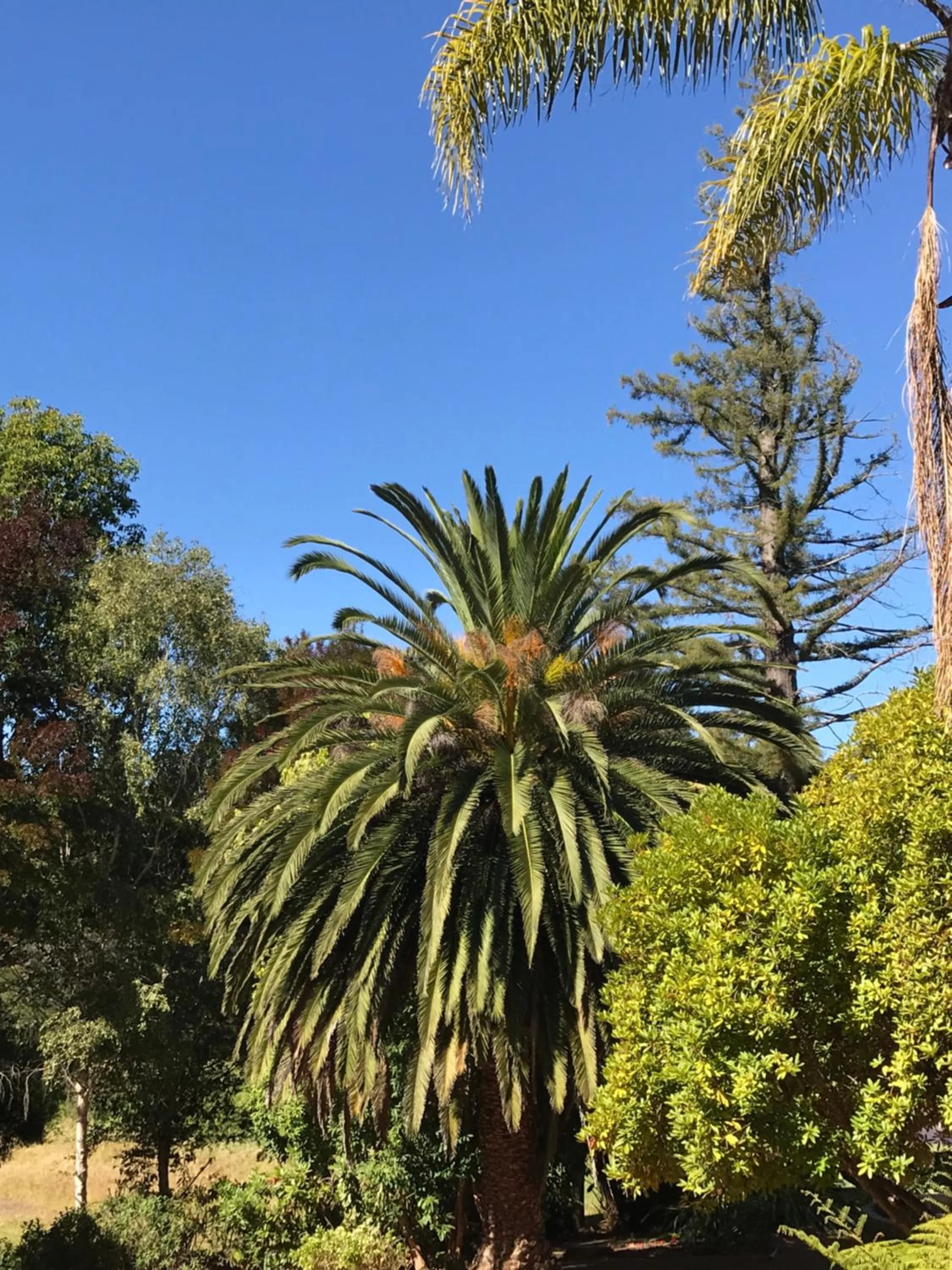 Day in Forest Lodge Resort