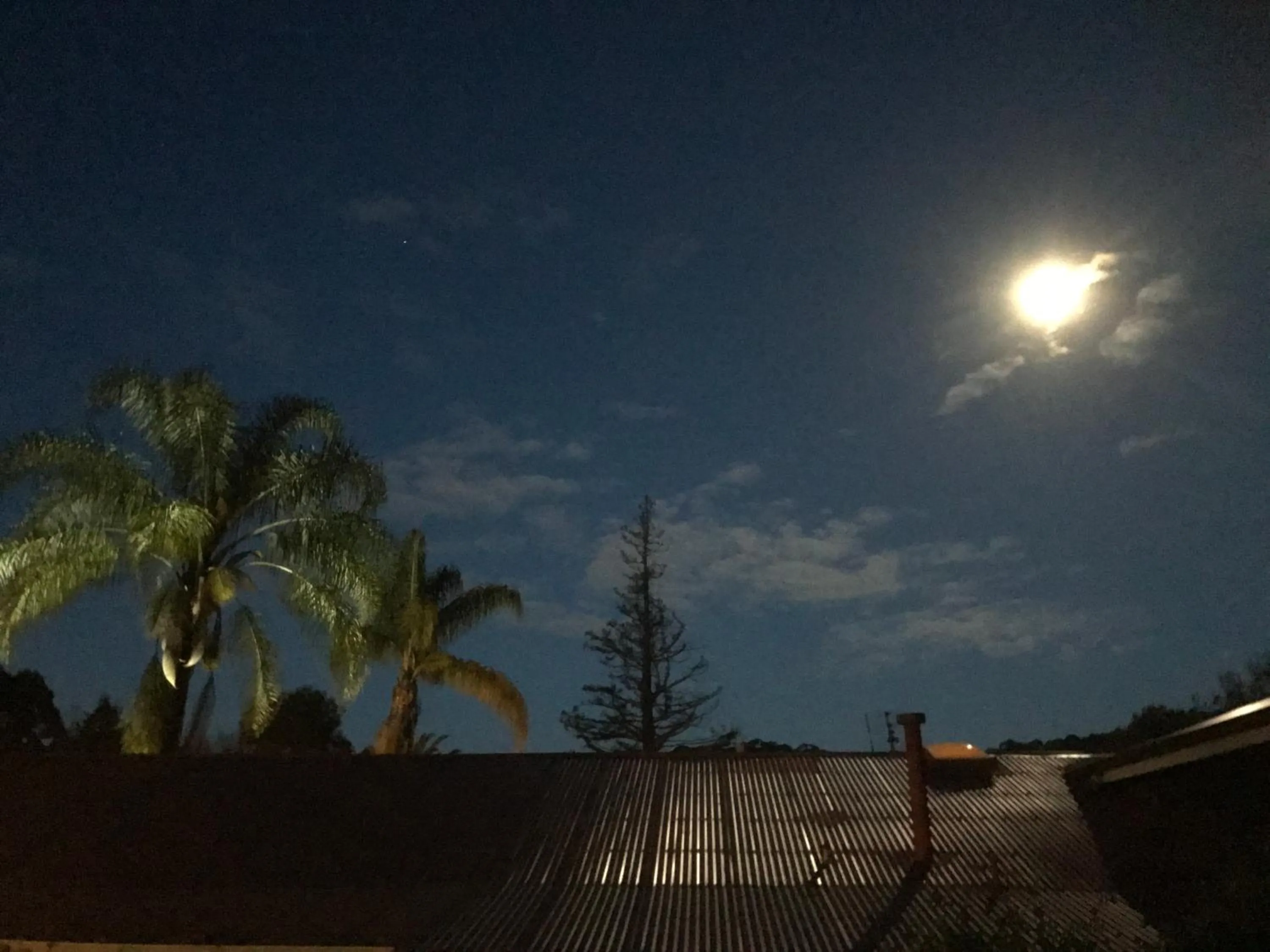 Night in Forest Lodge Resort