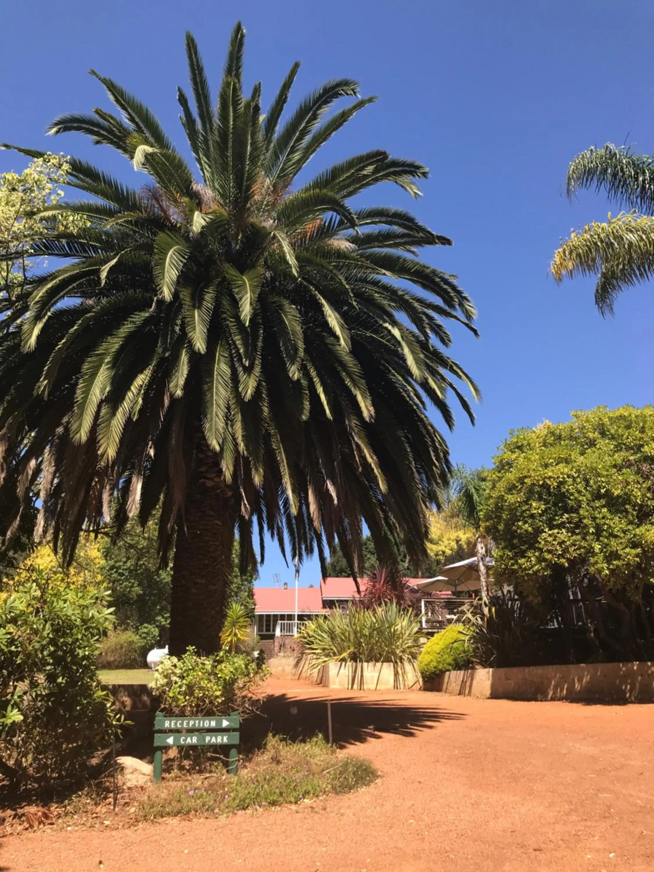 Natural landscape in Forest Lodge Resort