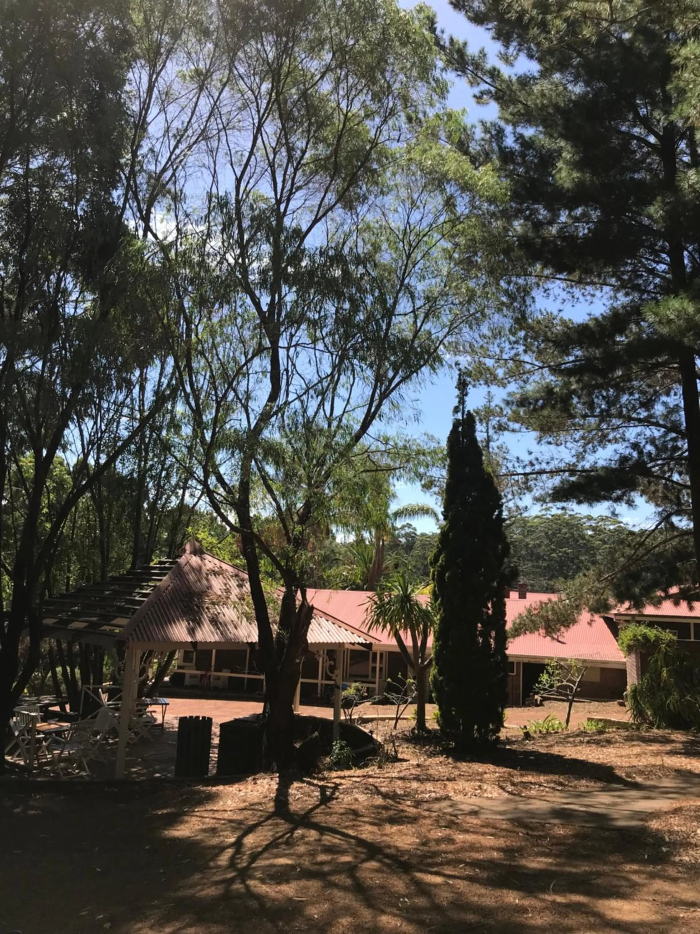 Natural landscape in Forest Lodge Resort
