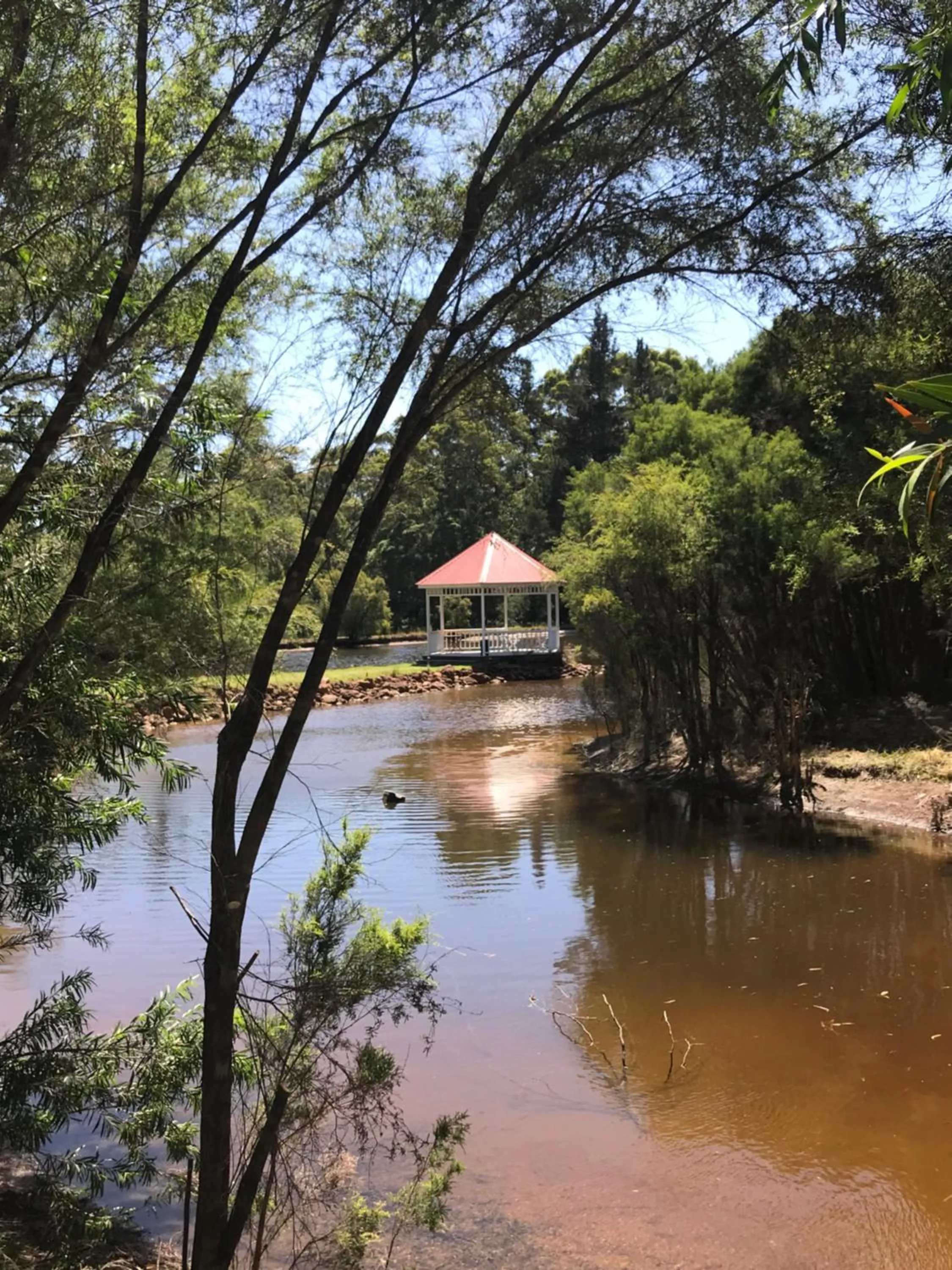 Day in Forest Lodge Resort