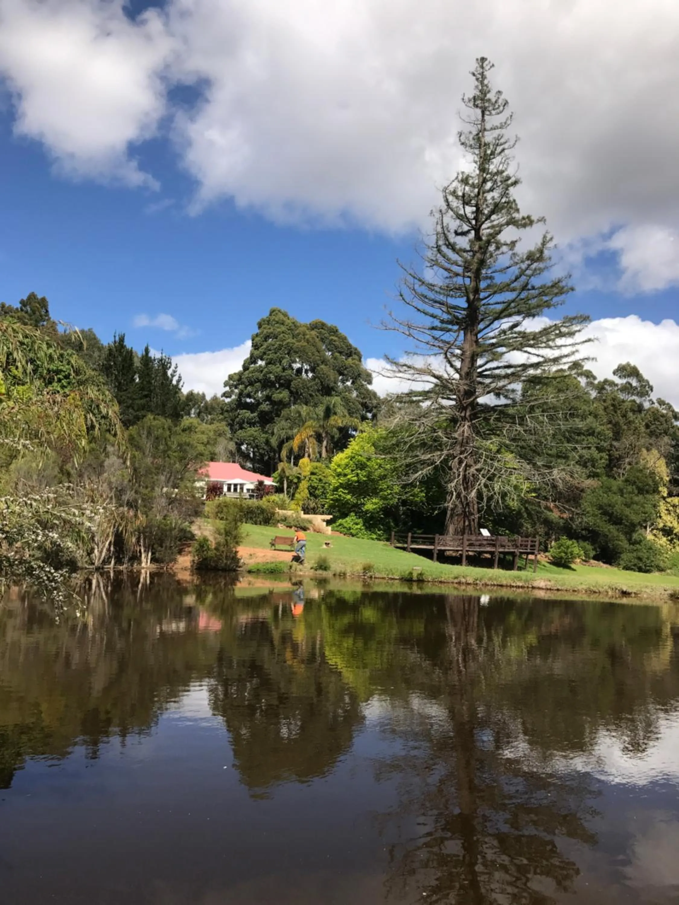 Restaurant/places to eat in Forest Lodge Resort
