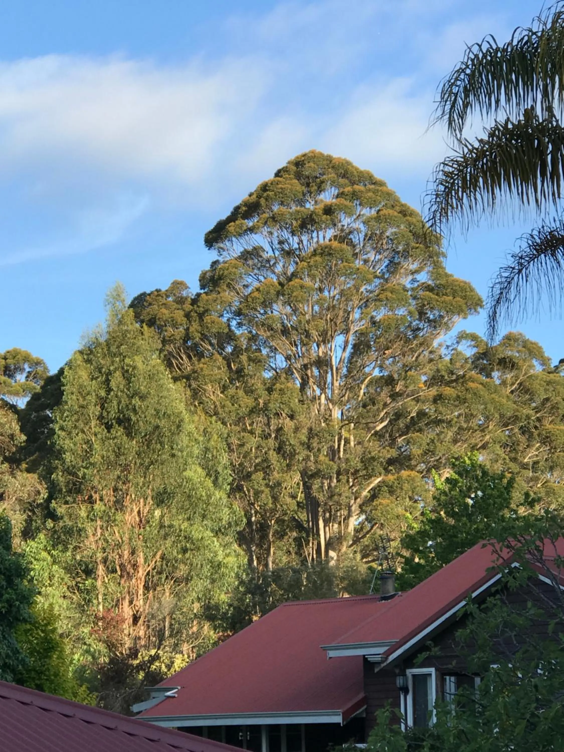 Property building in Forest Lodge Resort