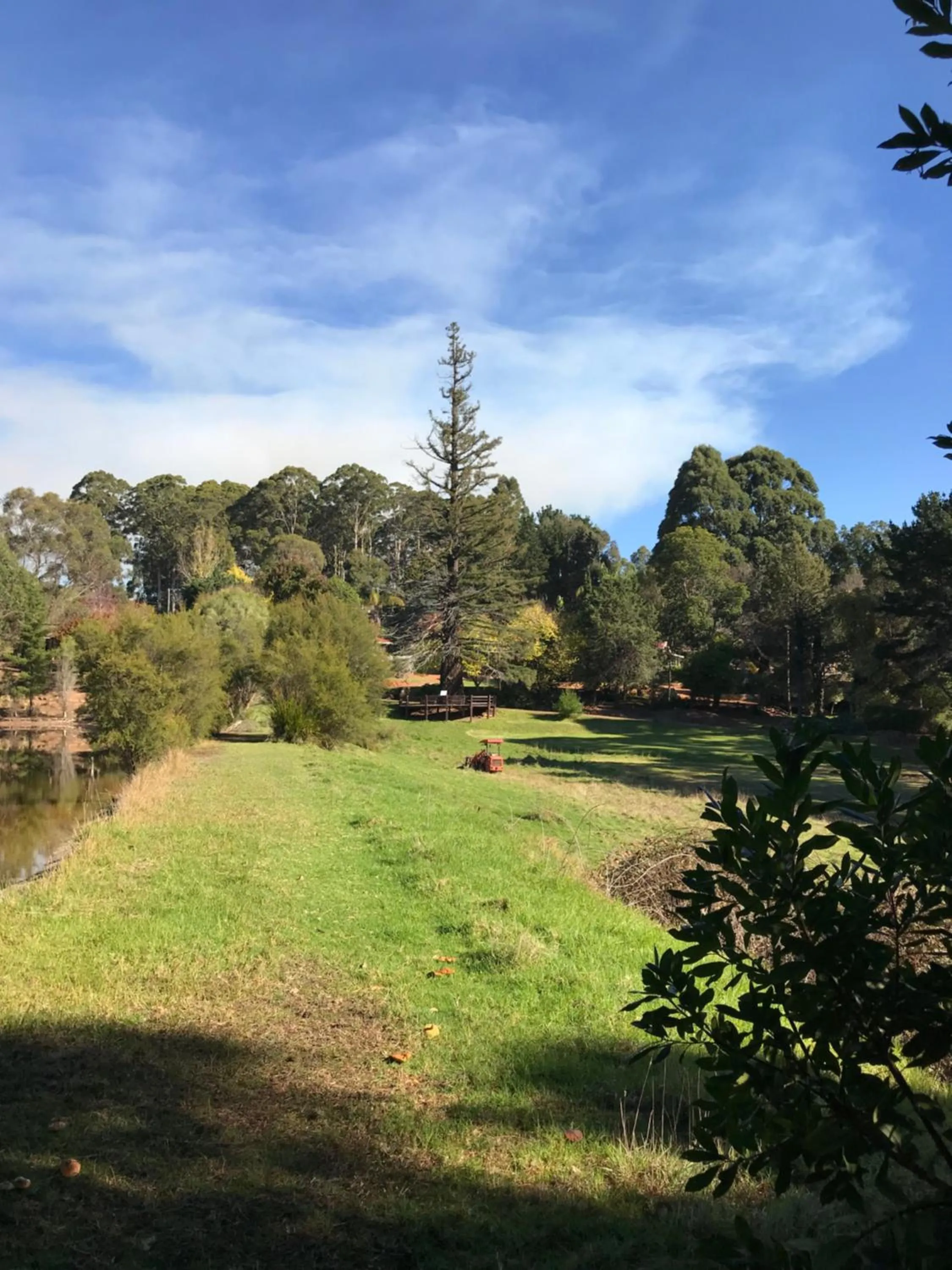 Spring in Forest Lodge Resort