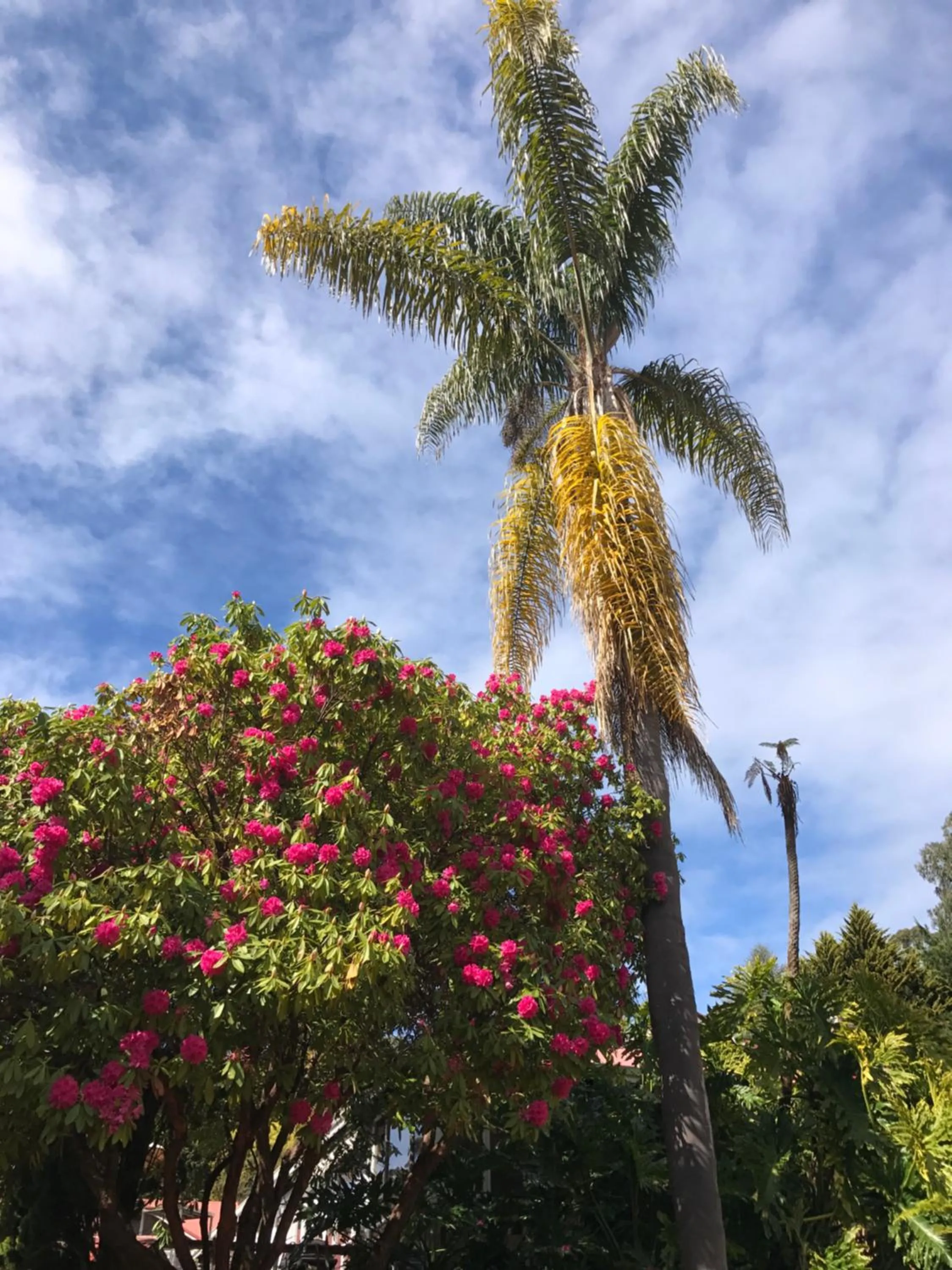 Day in Forest Lodge Resort