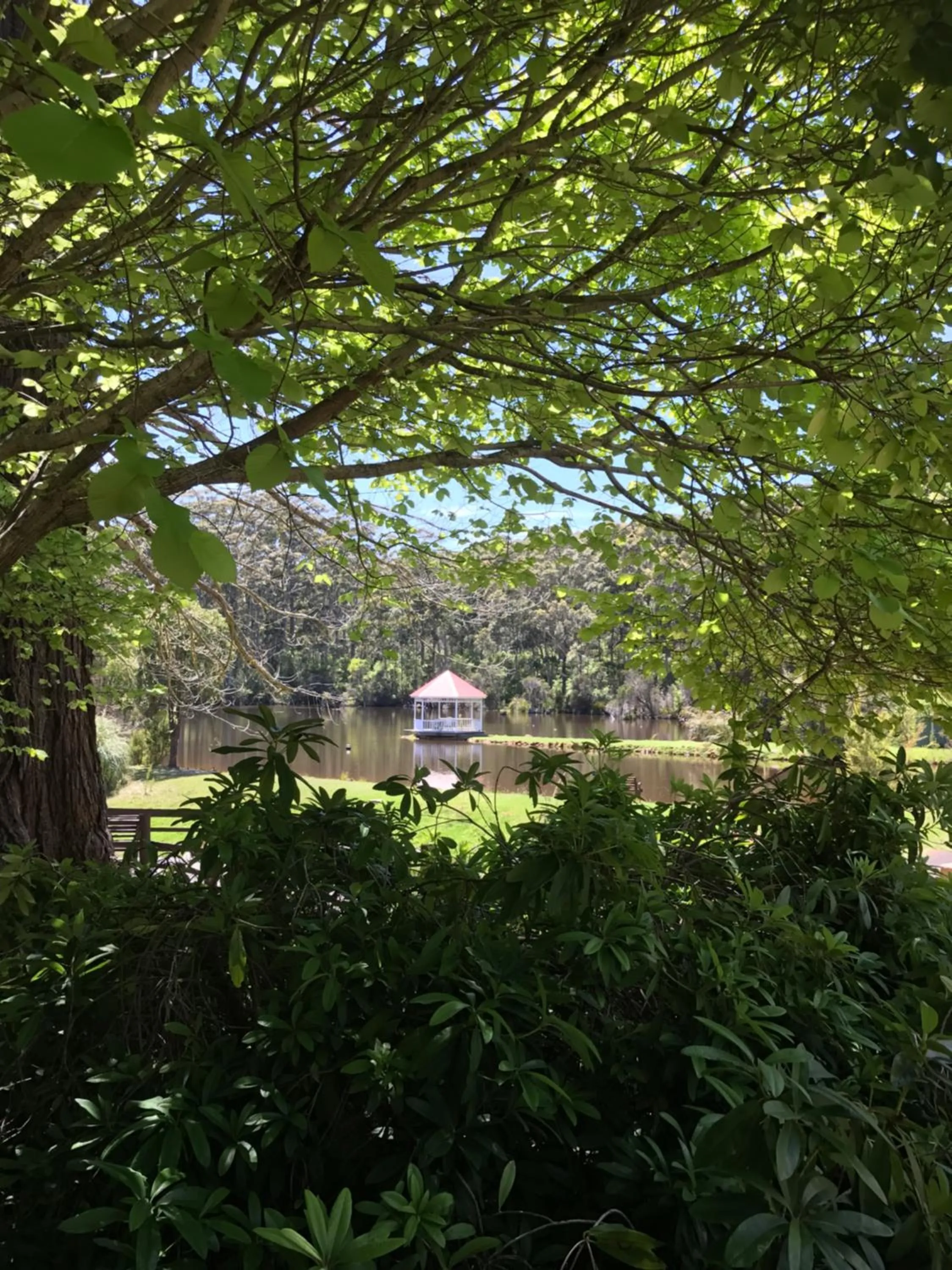 Patio in Forest Lodge Resort