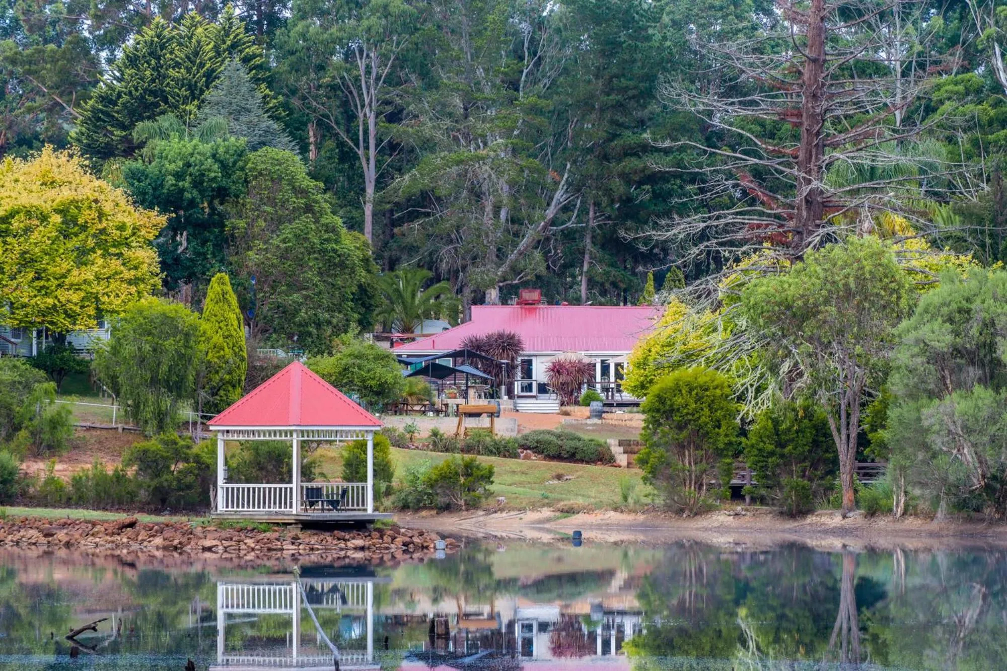 Property building in Forest Lodge Resort