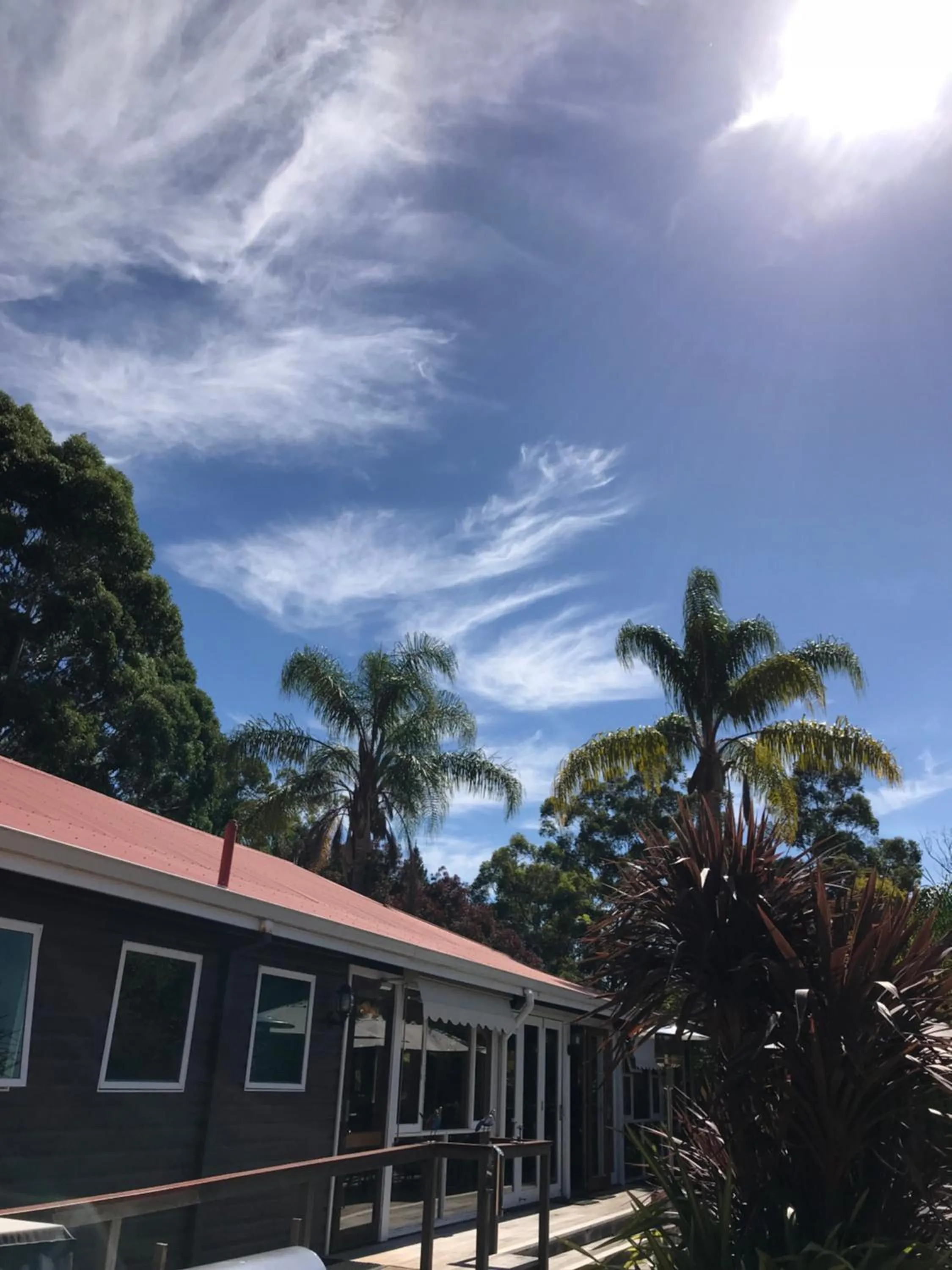 Restaurant/places to eat in Forest Lodge Resort