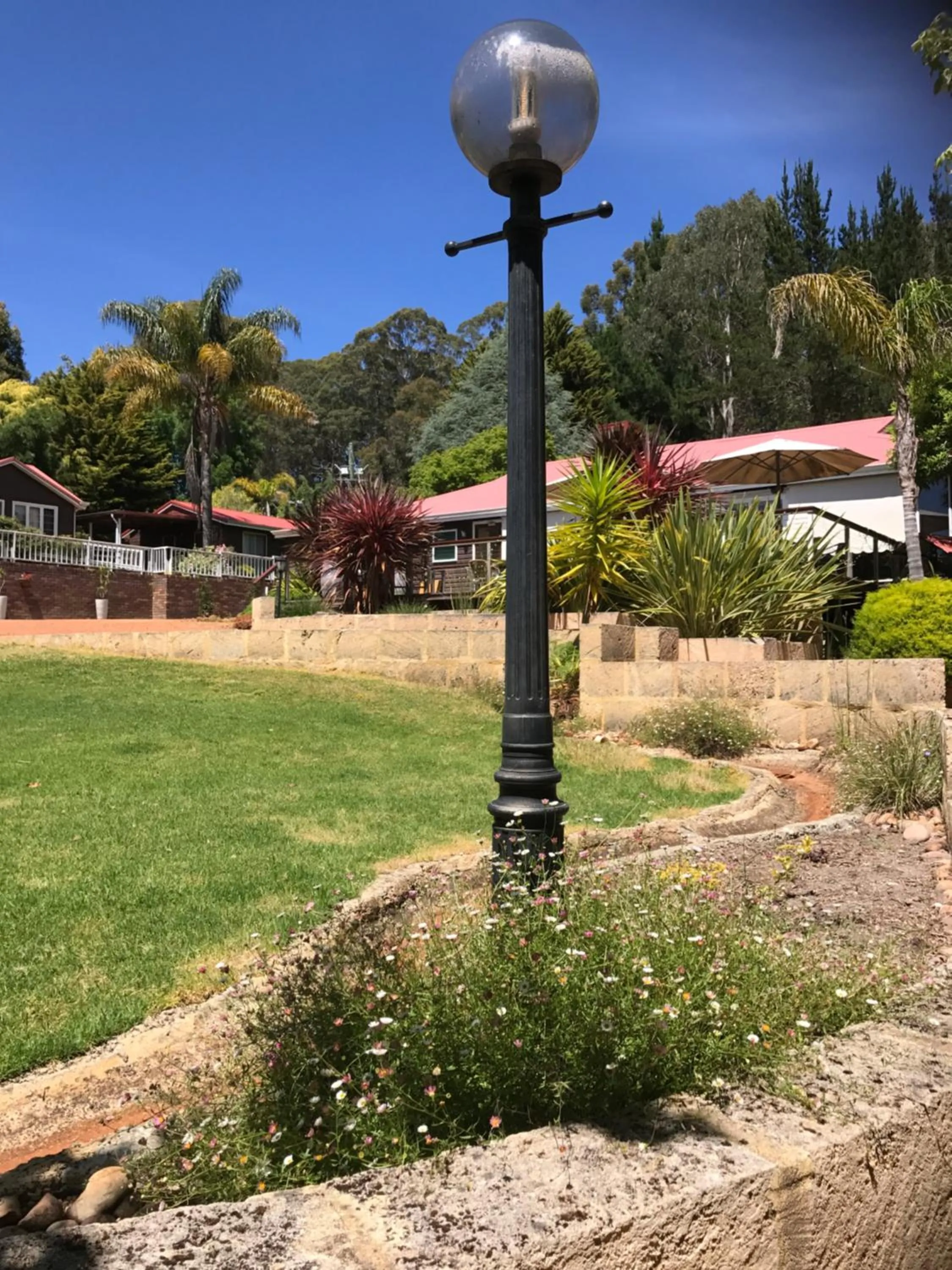 Restaurant/places to eat in Forest Lodge Resort