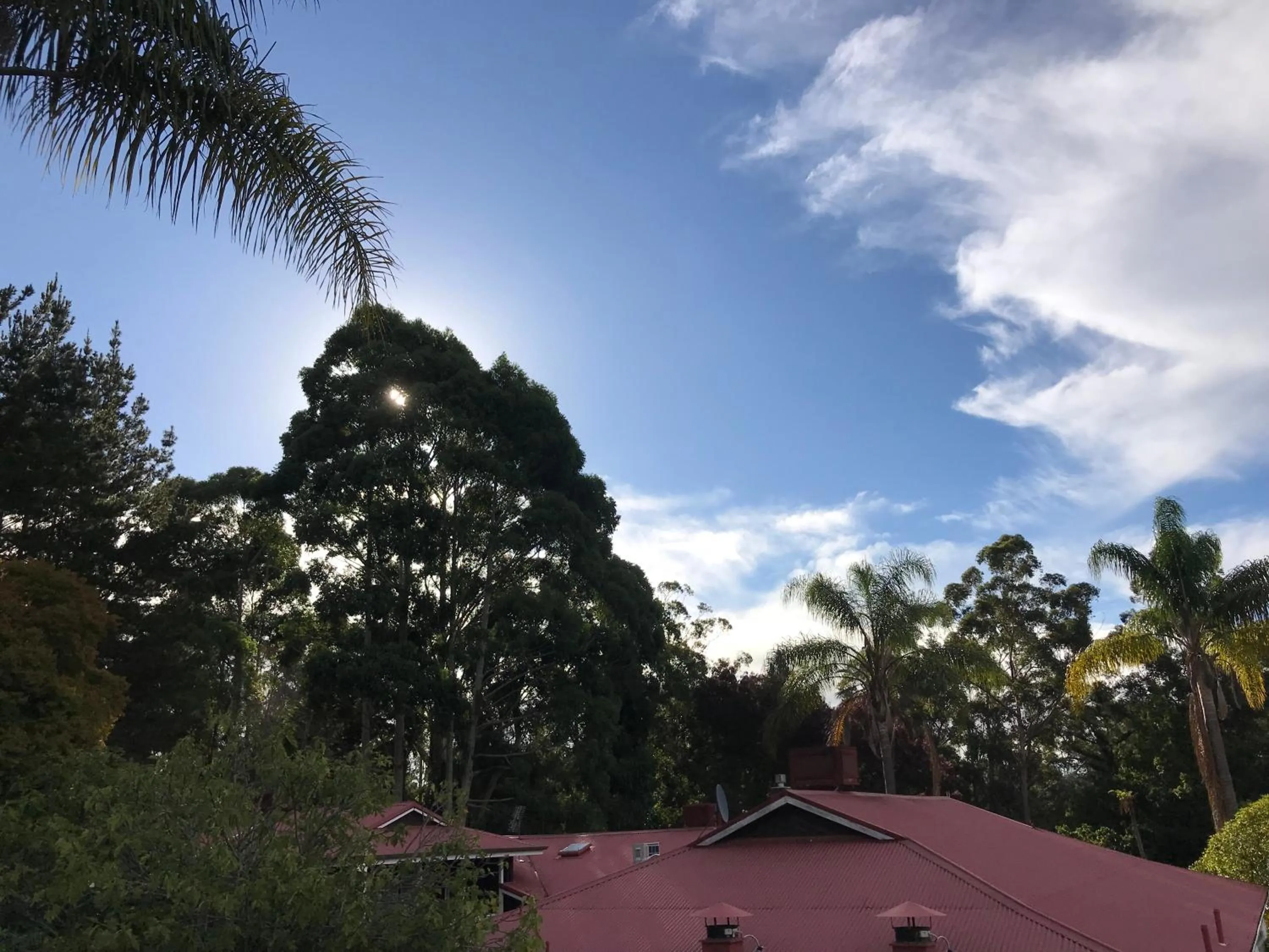 Natural landscape in Forest Lodge Resort