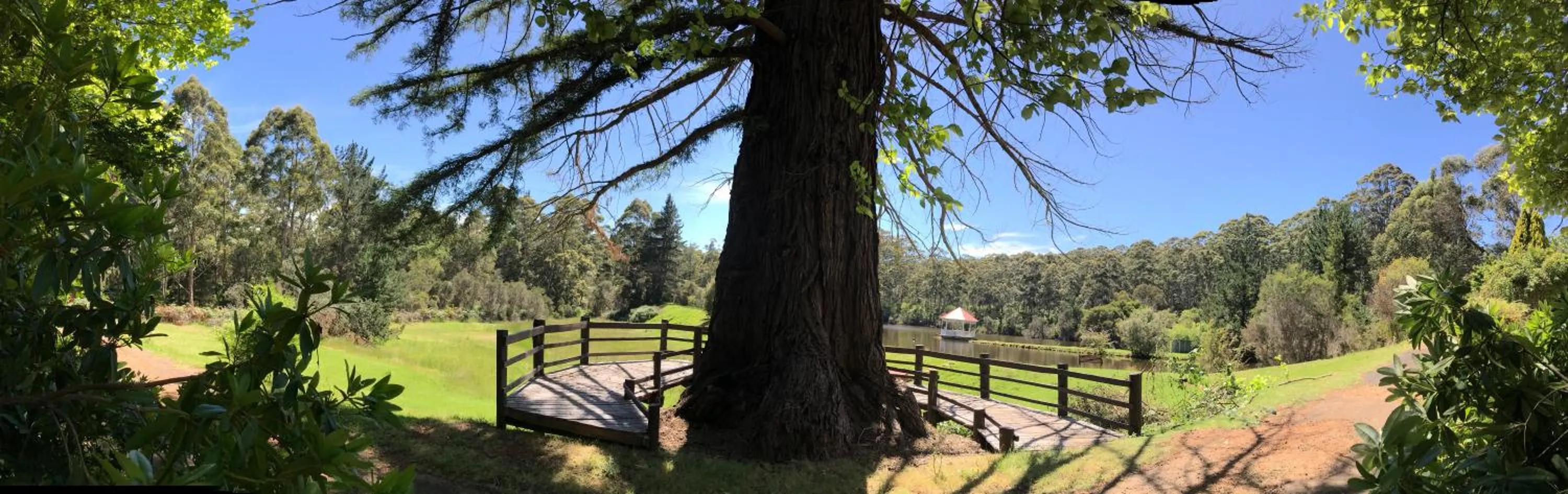 Day in Forest Lodge Resort