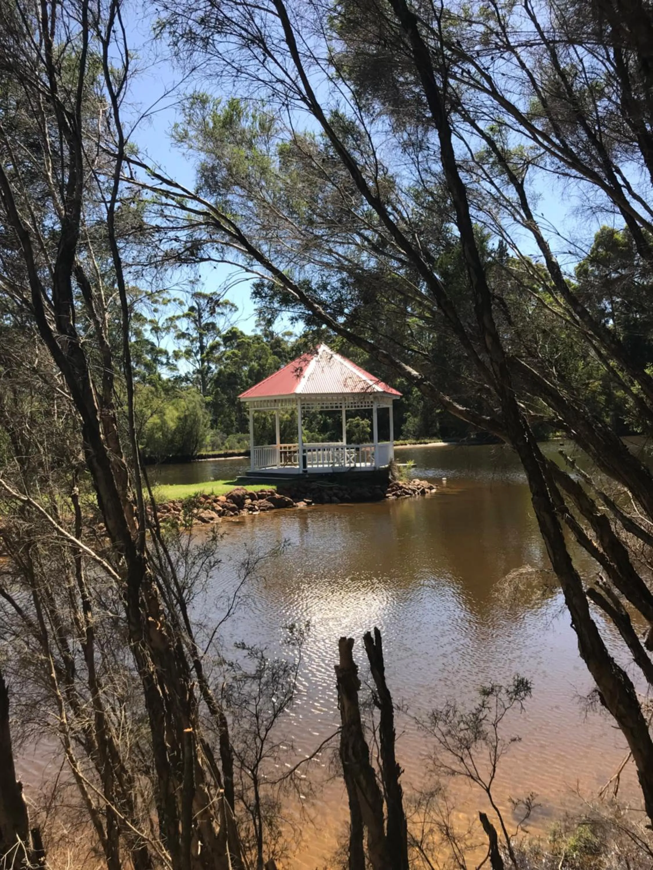 Day in Forest Lodge Resort