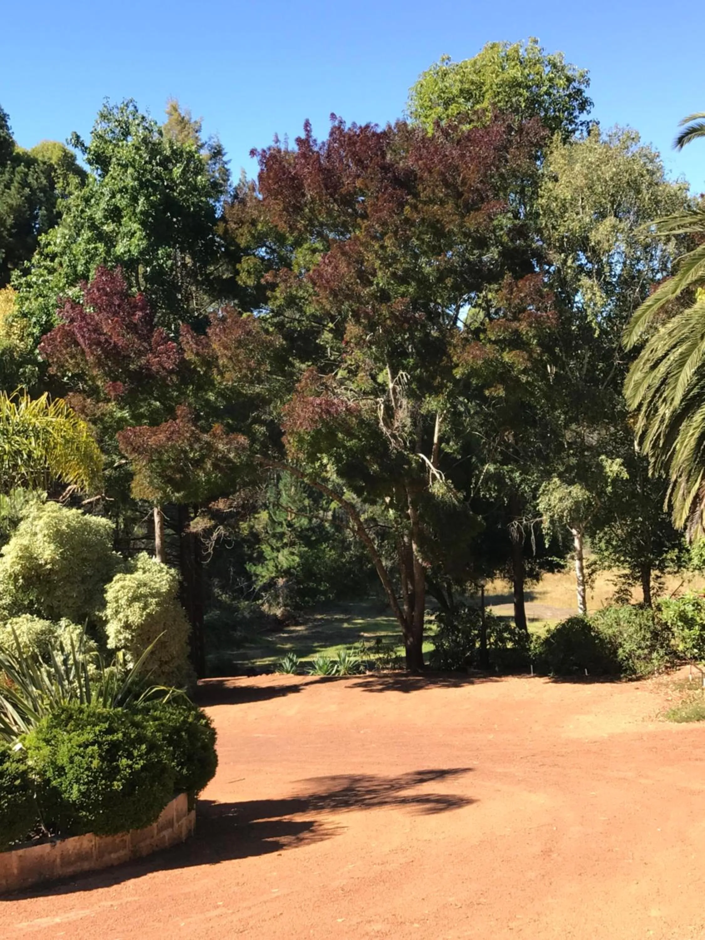 Spring in Forest Lodge Resort