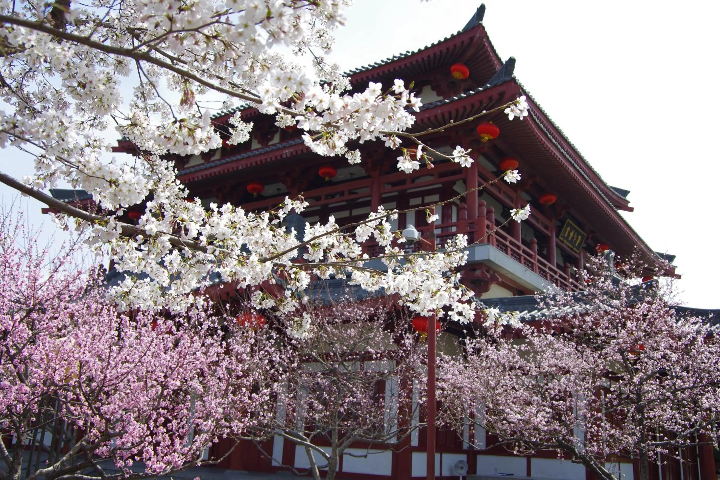 Other in lyf Dayanta Xi'an