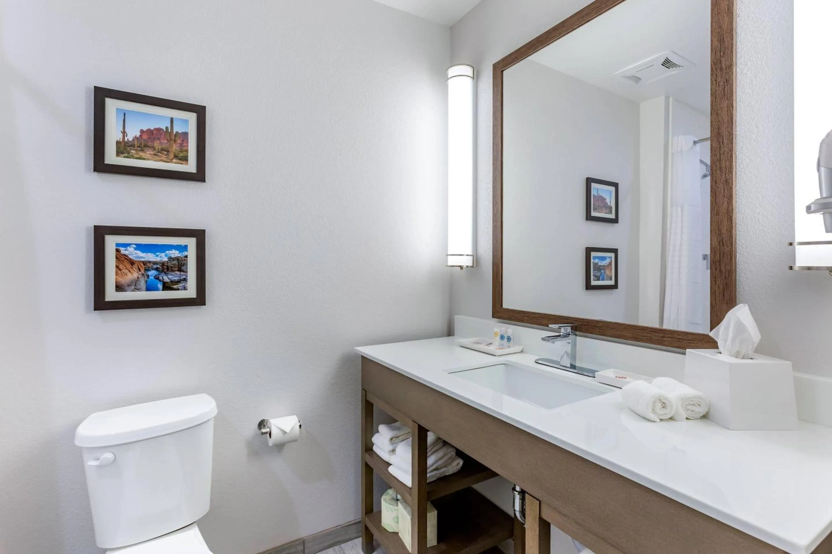 Bedroom in Comfort Suites Scottsdale Talking Stick Entertainment District