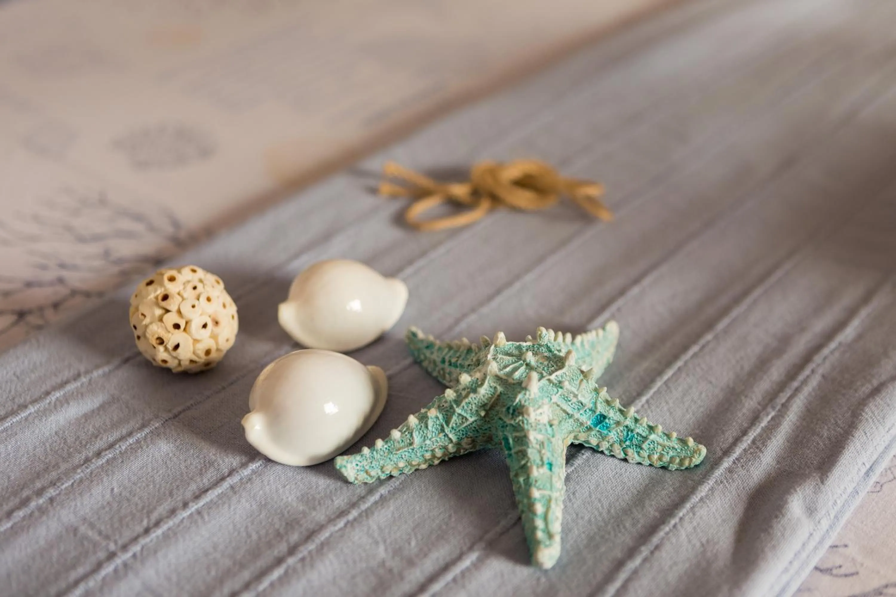 Decorative detail in Isola Blu