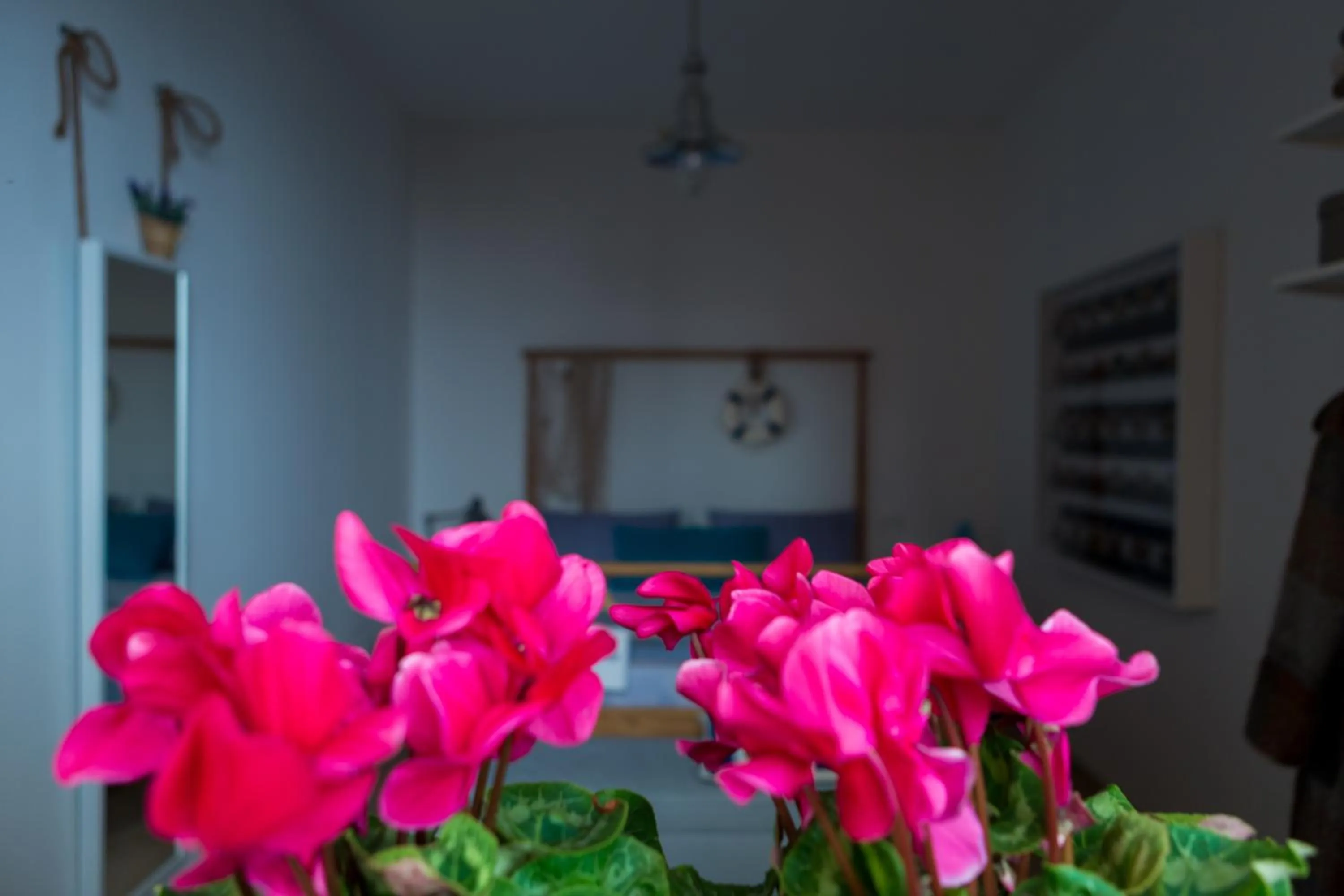 View (from property/room) in Isola Blu