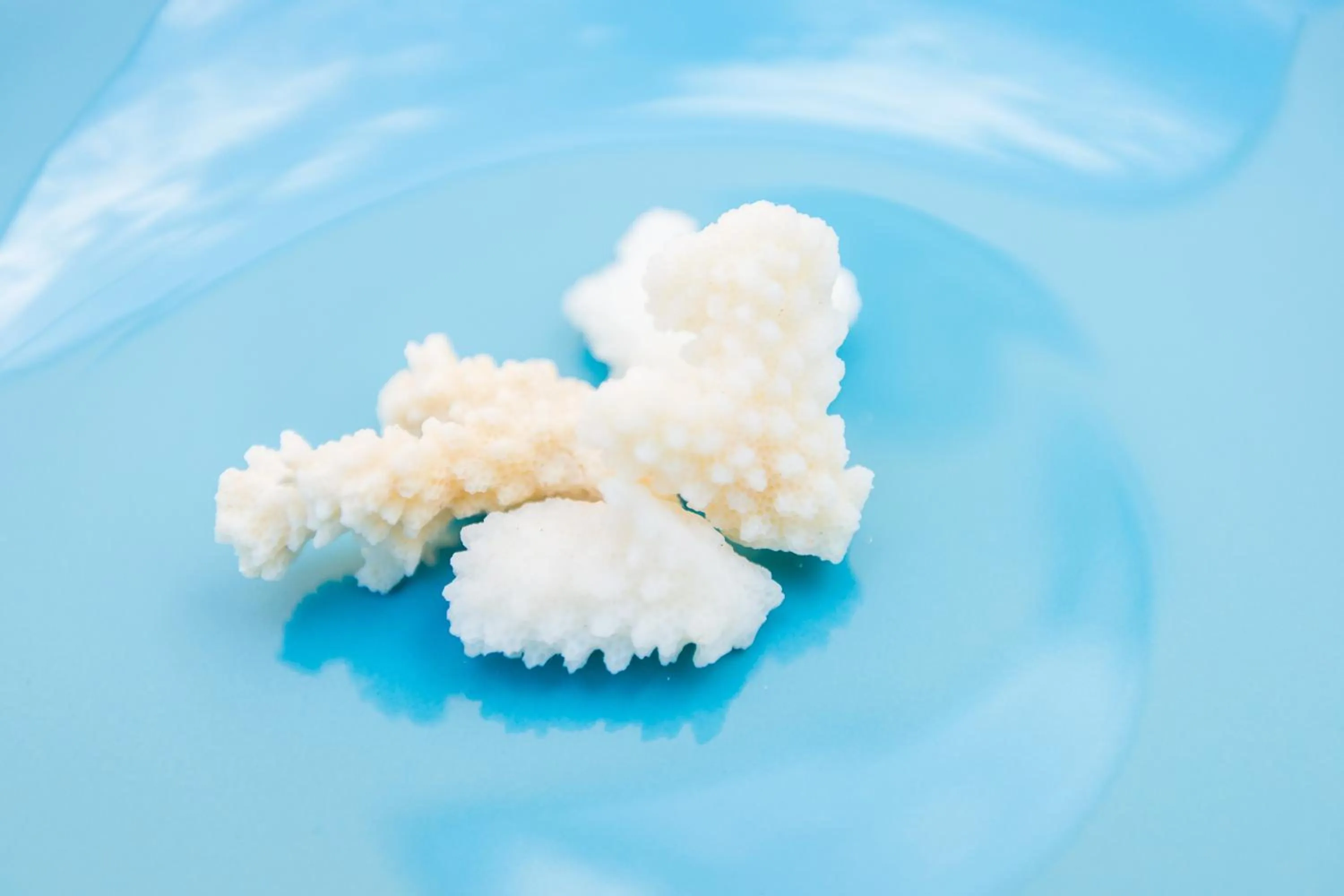 Decorative detail in Isola Blu