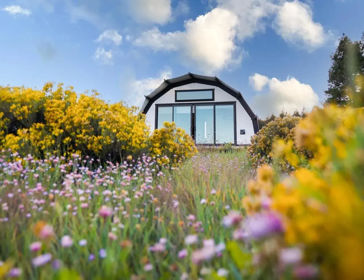 Tent in Backland Tent in Backland