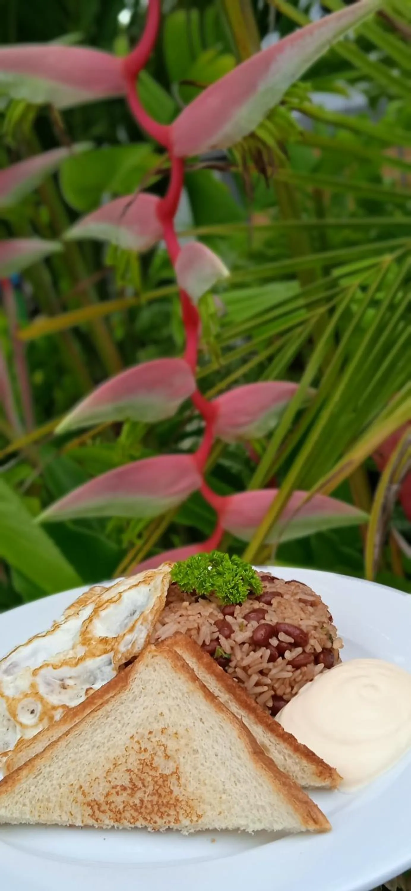 Breakfast in Hotel Naoz