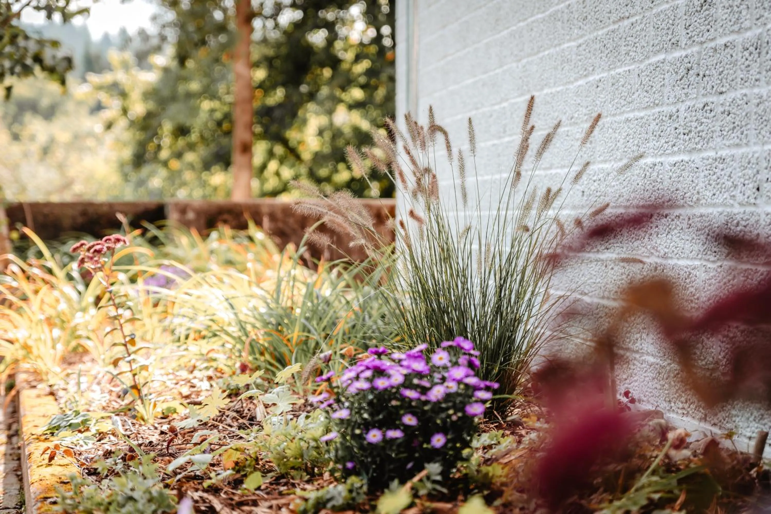 Garden in Granetal.Quartier