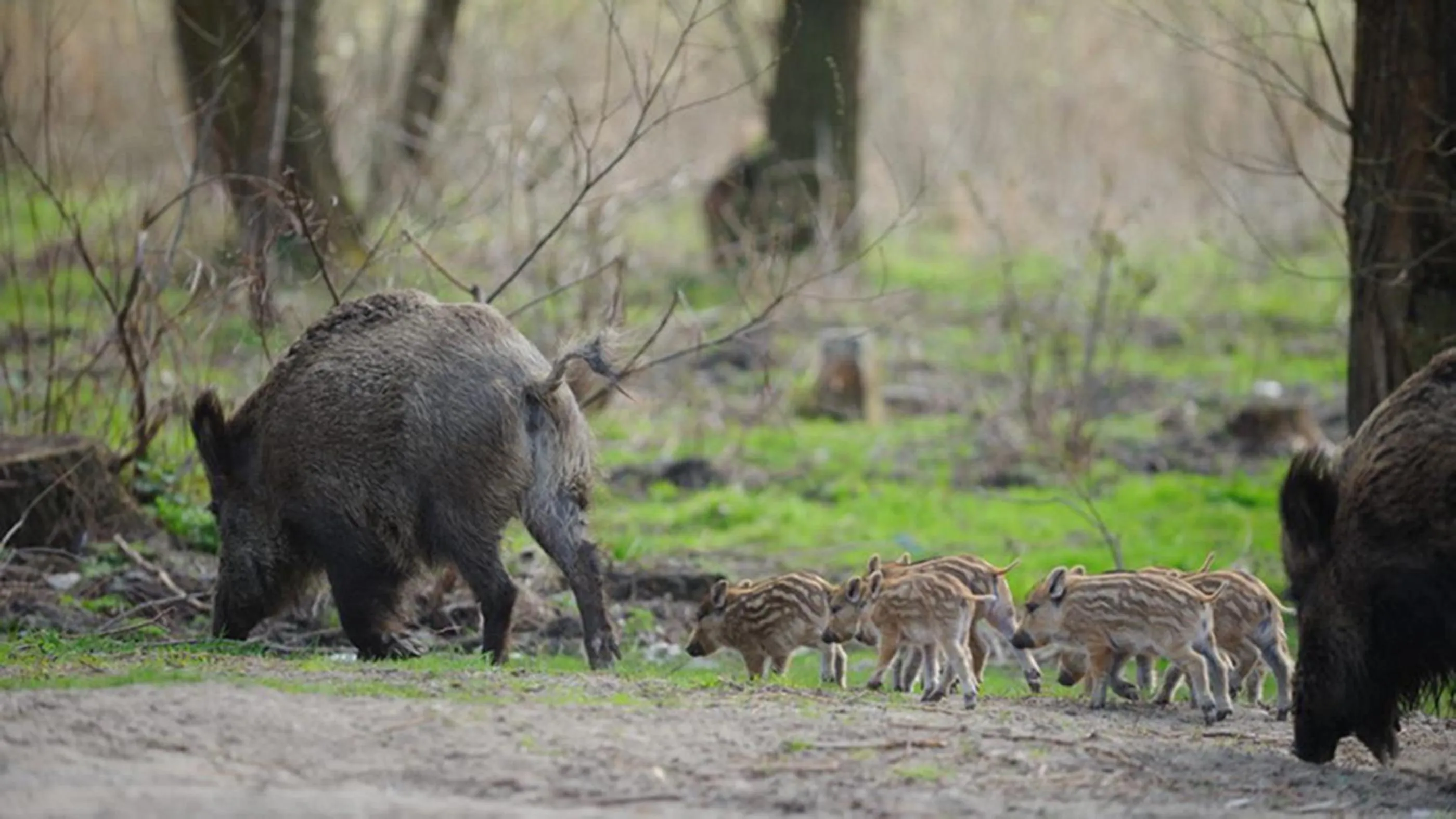 Area and facilities in Four Winds