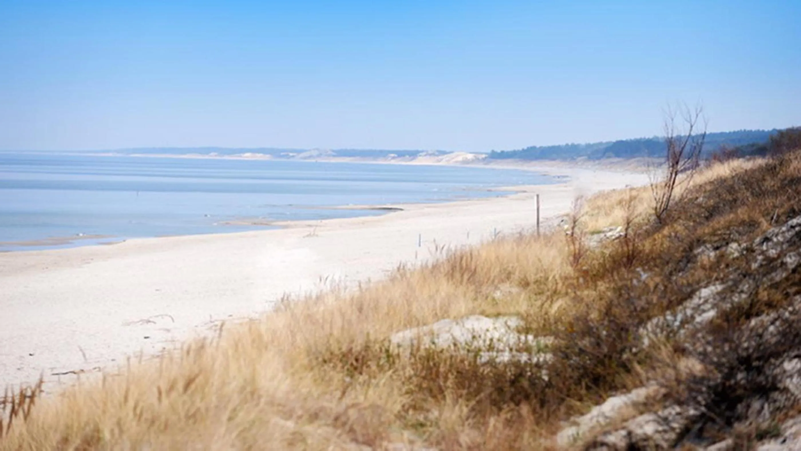 Spring in Four Winds