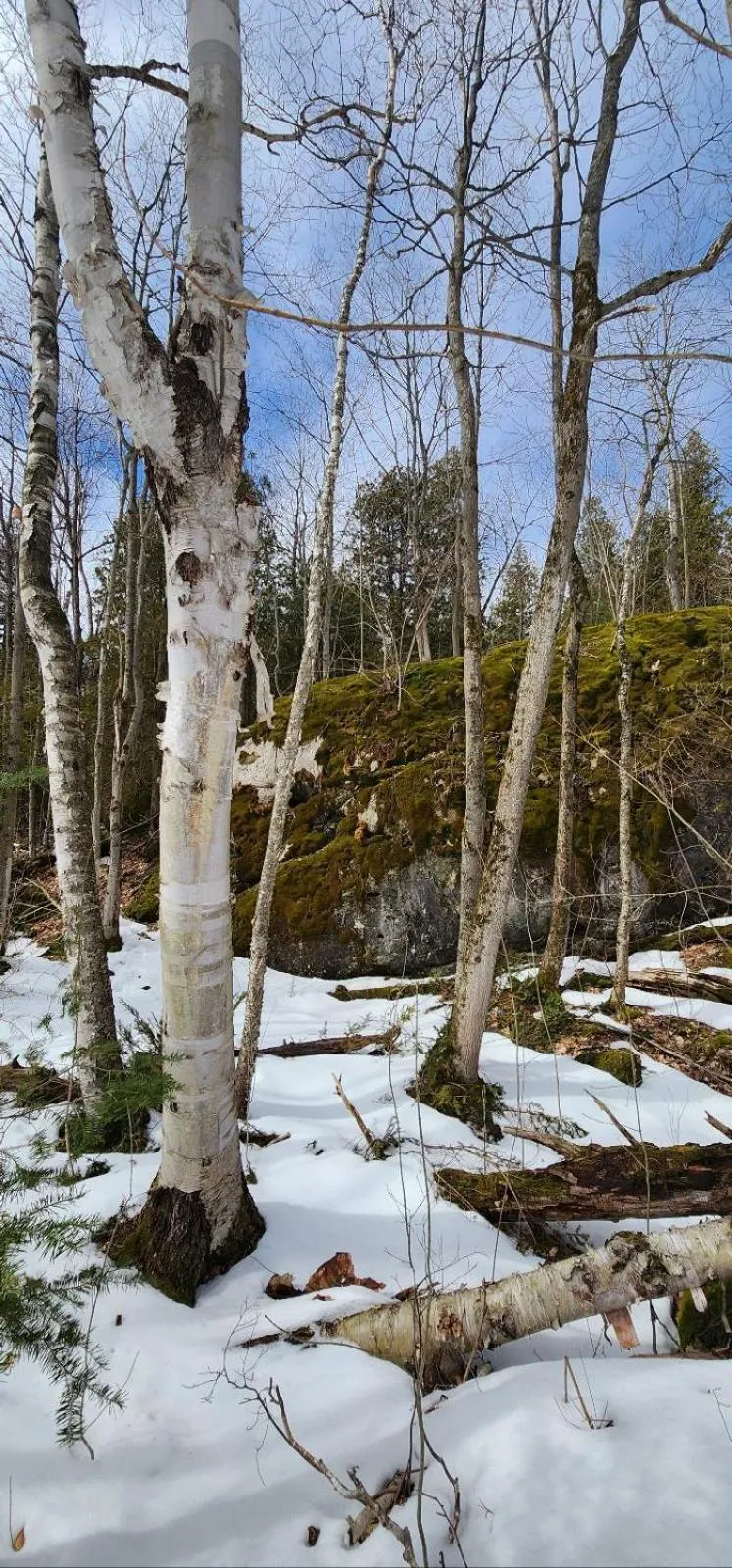 Hiking in Penny's Motel