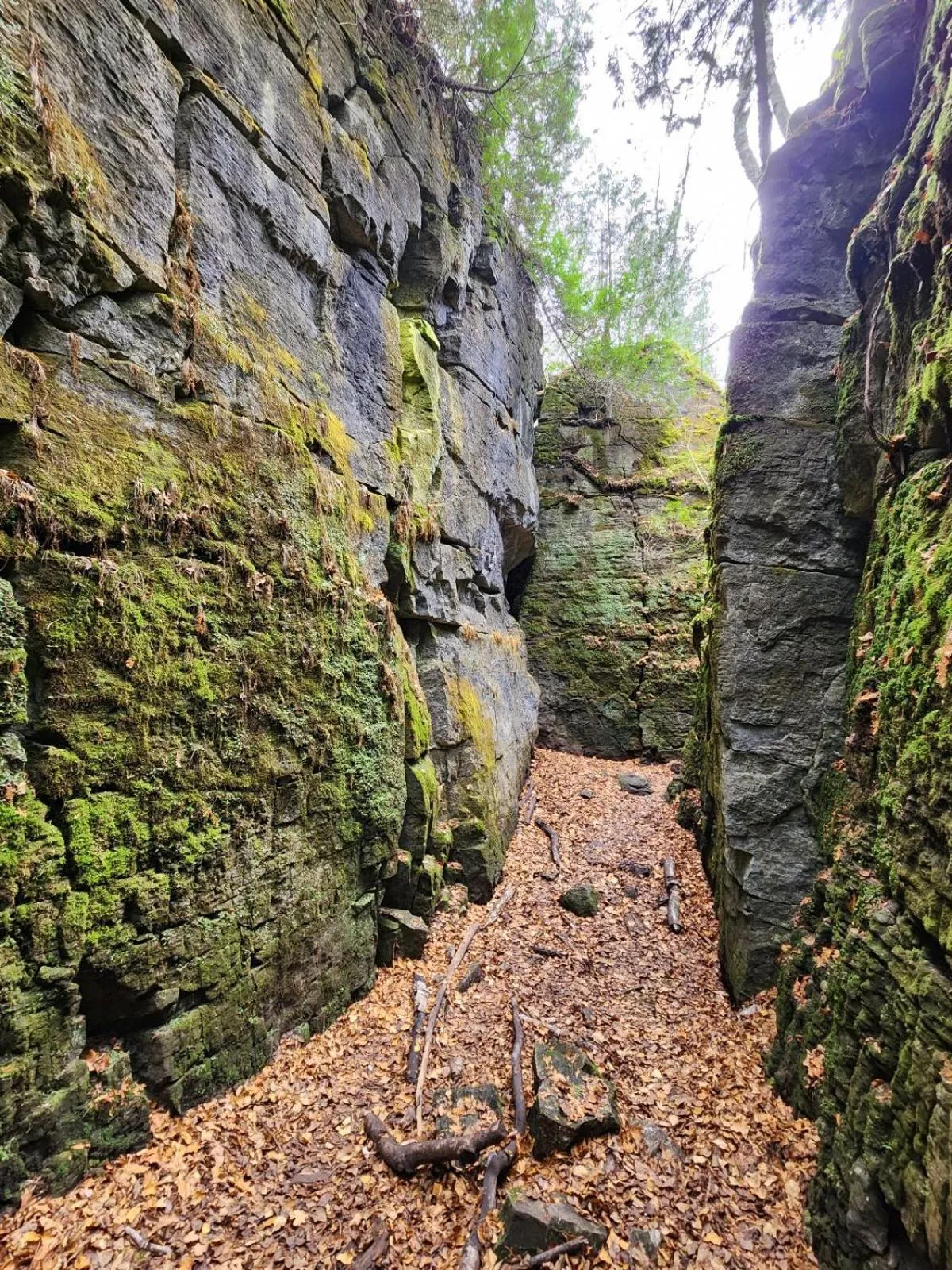 Hiking in Penny's Motel