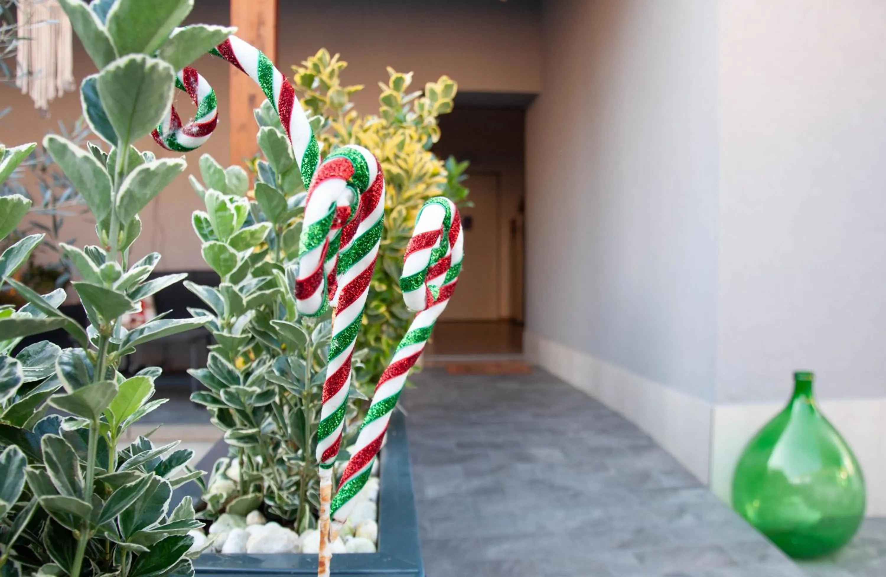 Garden view in B&B La casa di Ale