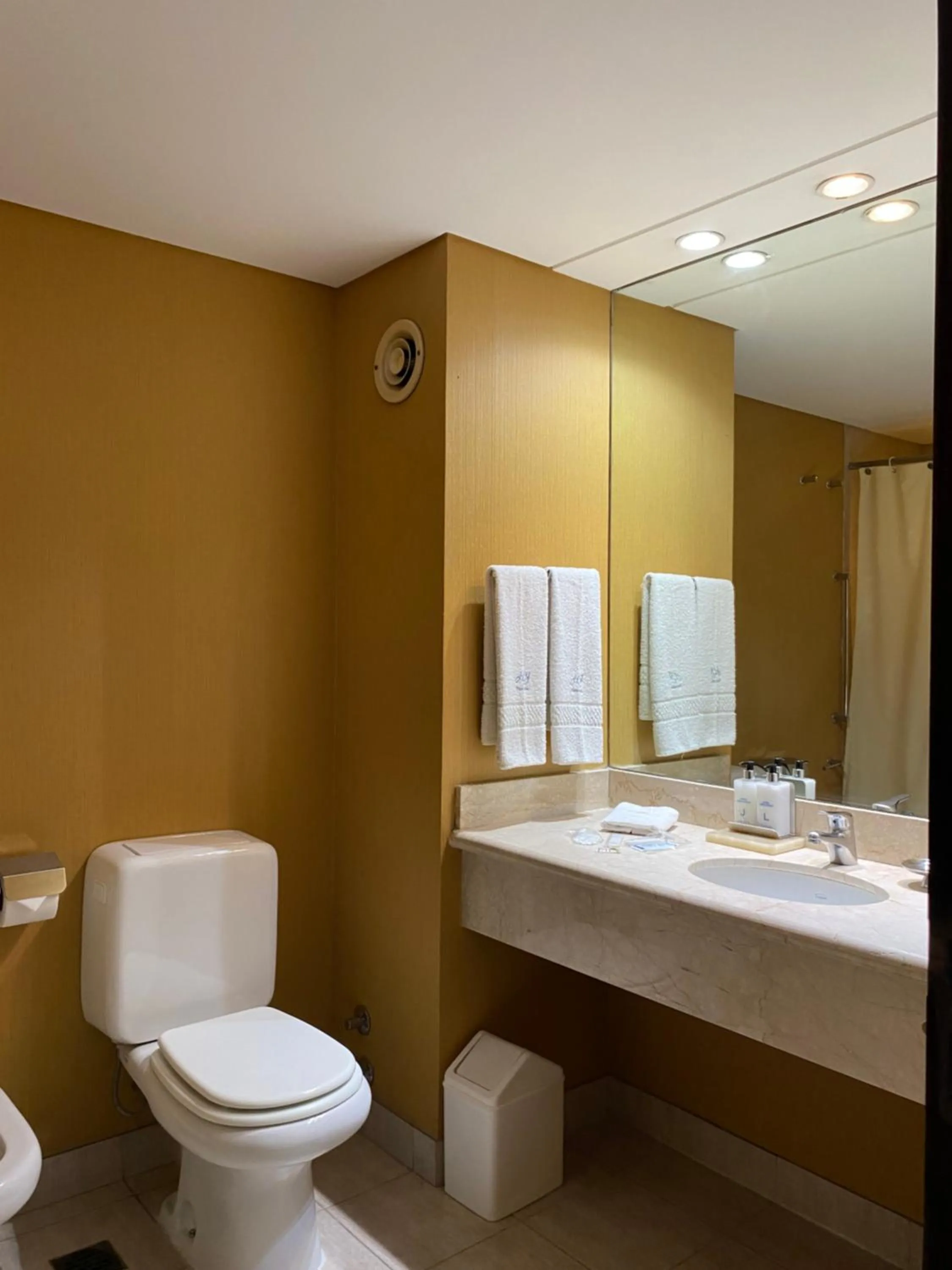 Bathroom in Howard Johnson Plaza by Wyndham Buenos Aires Florida Street