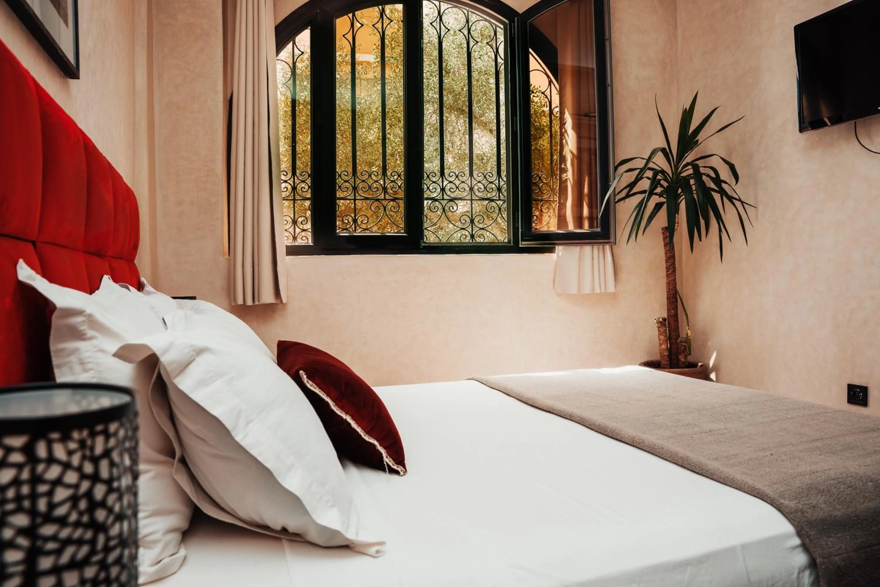 Bed in Auberge RIAD DLIM Tamraght