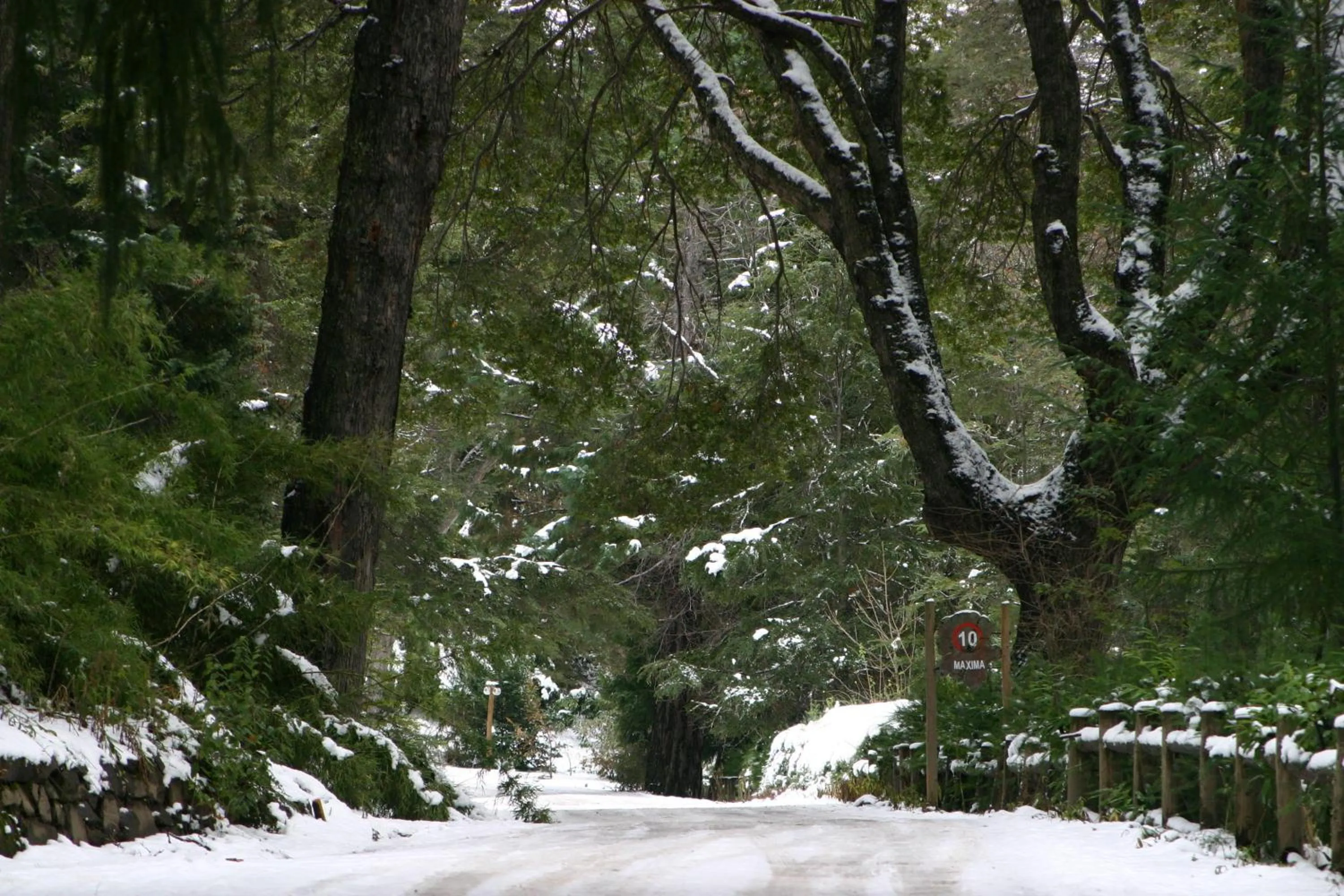 Facade/entrance in Hotel Tunquelén
