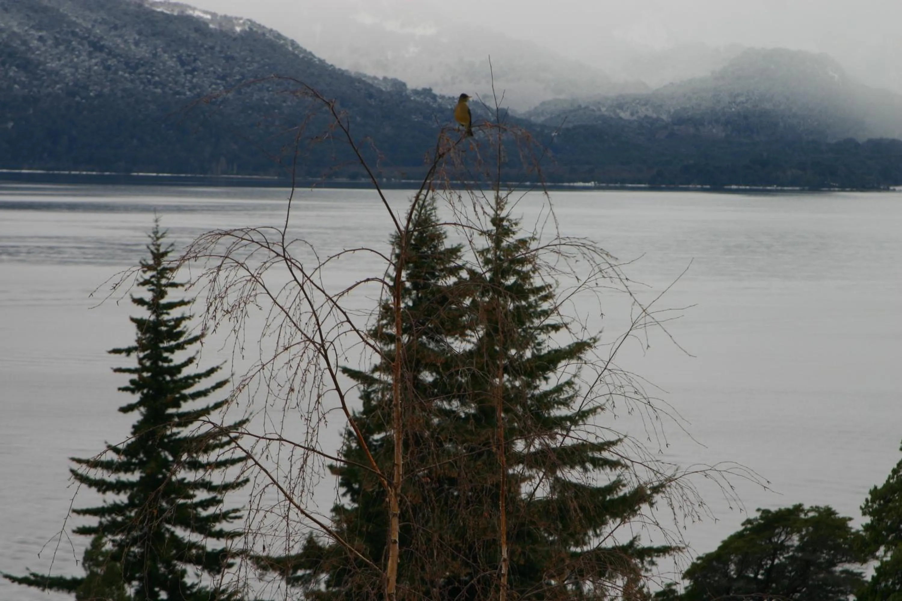 Winter in Hotel Tunquelén