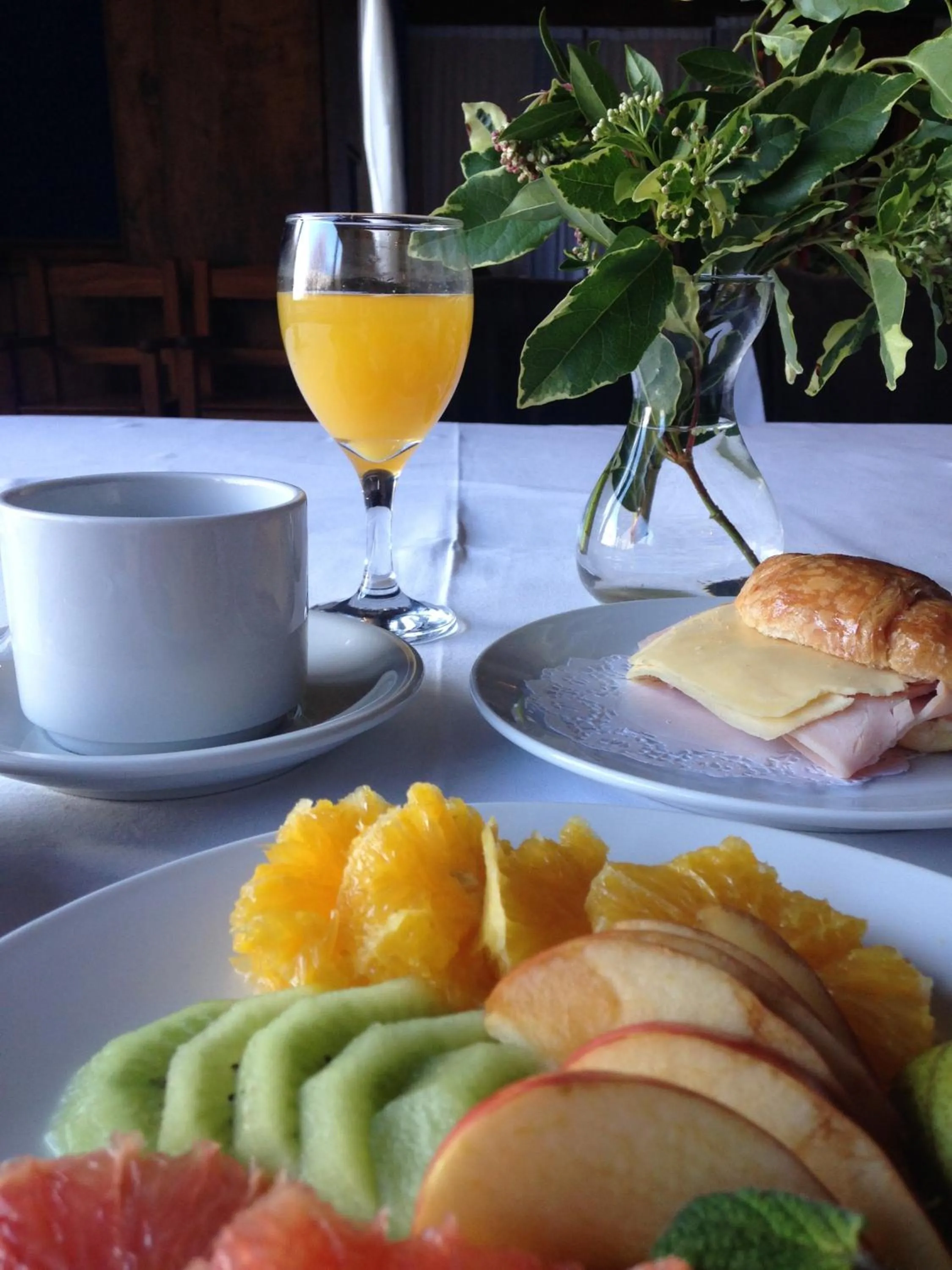 Breakfast in Hotel Tunquelén