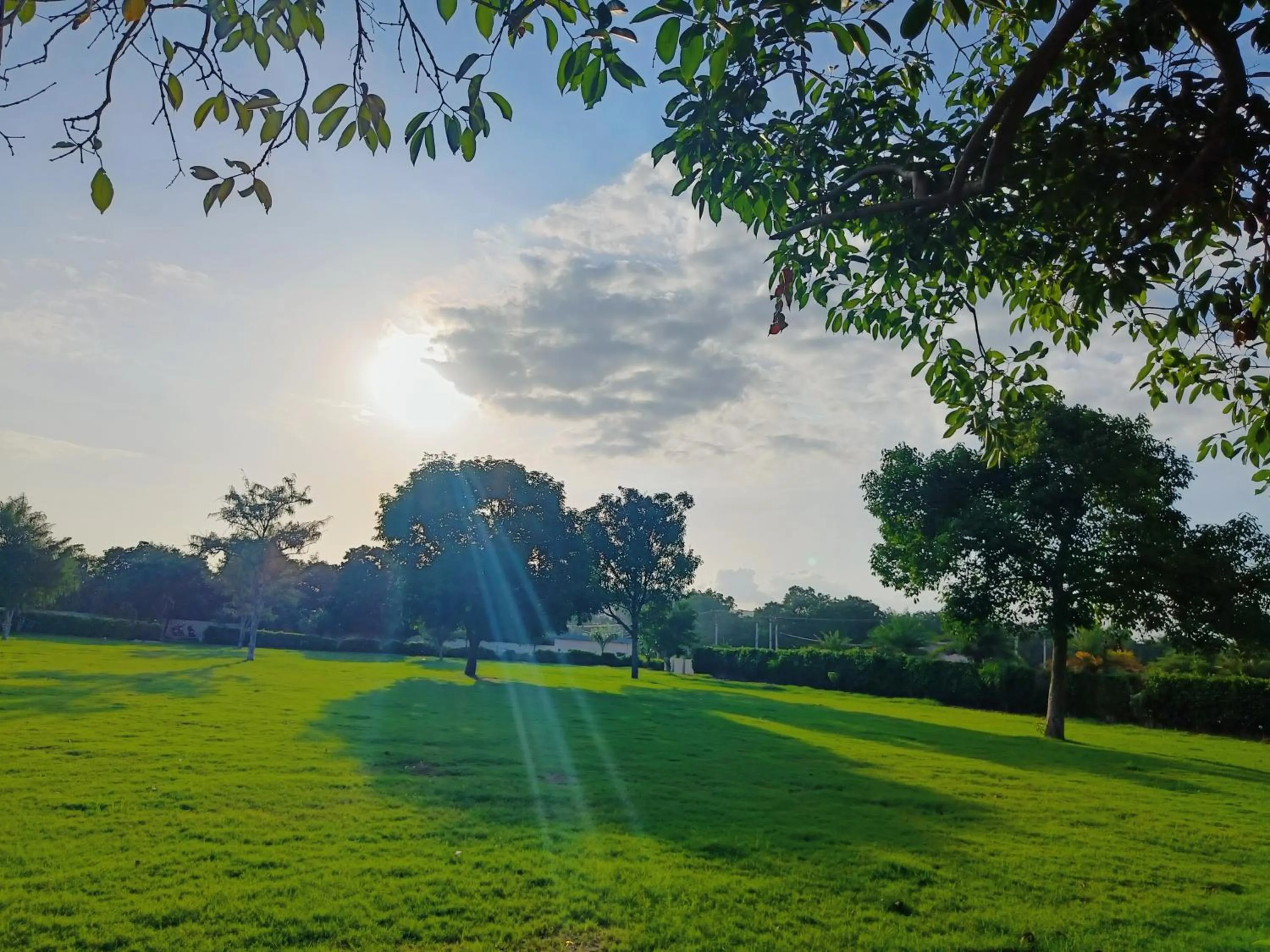 Garden in Savitri Resort