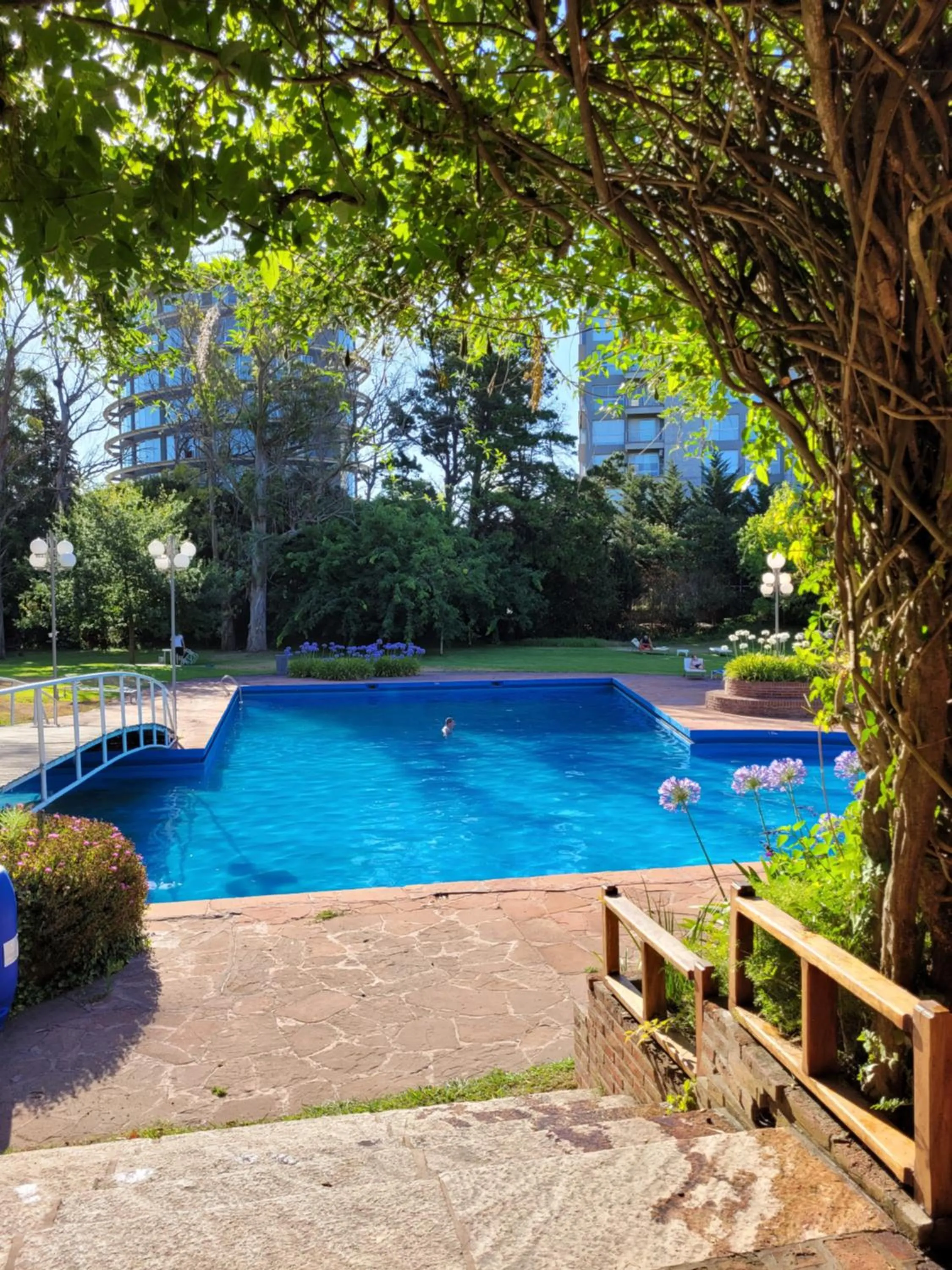 Swimming pool in Hotel del Bosque