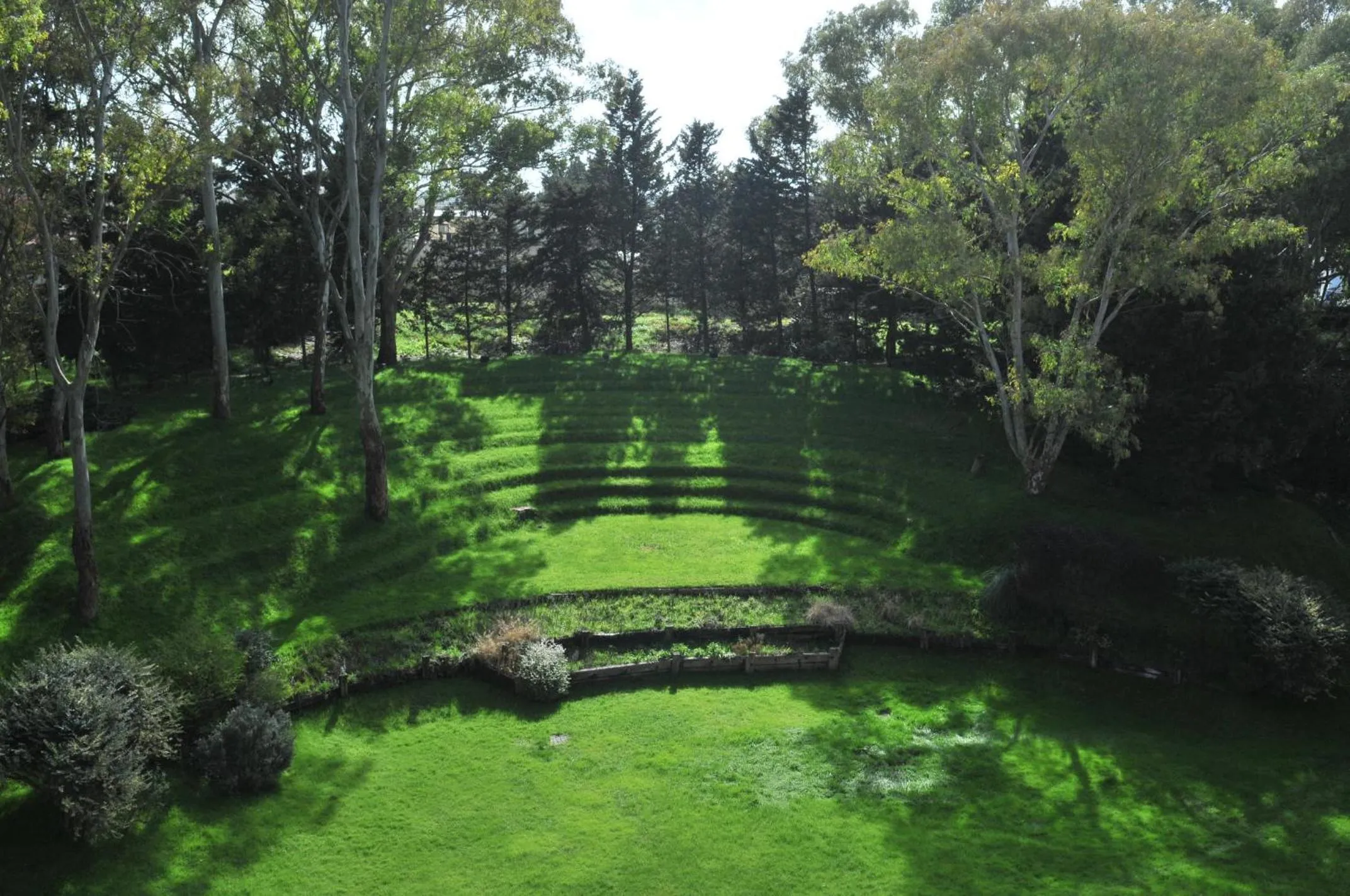 Garden view in Hotel del Bosque
