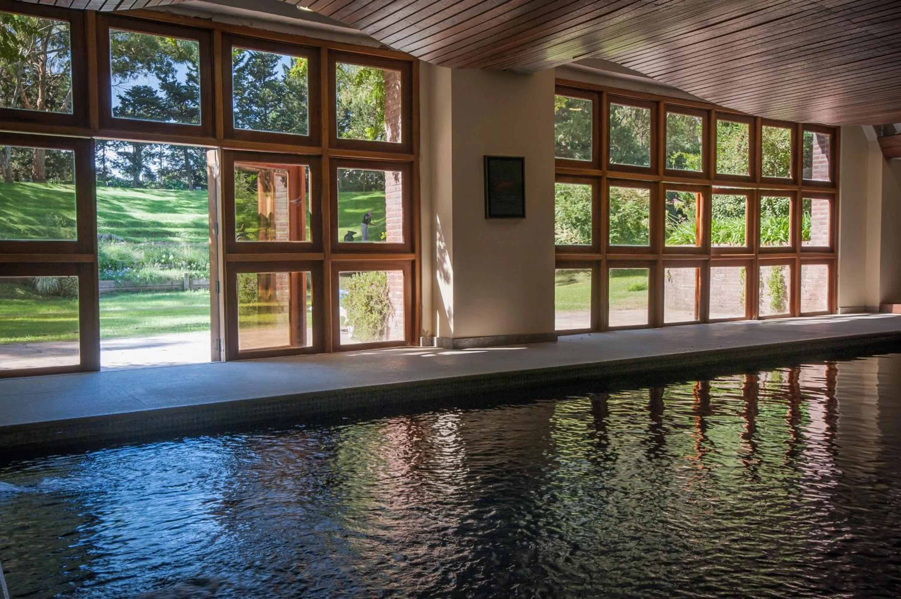 Swimming pool in Hotel del Bosque