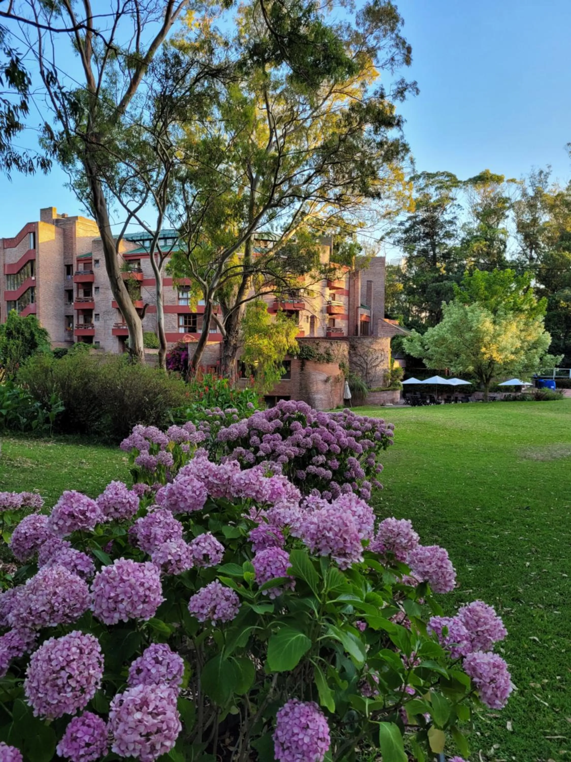 Garden in Hotel del Bosque