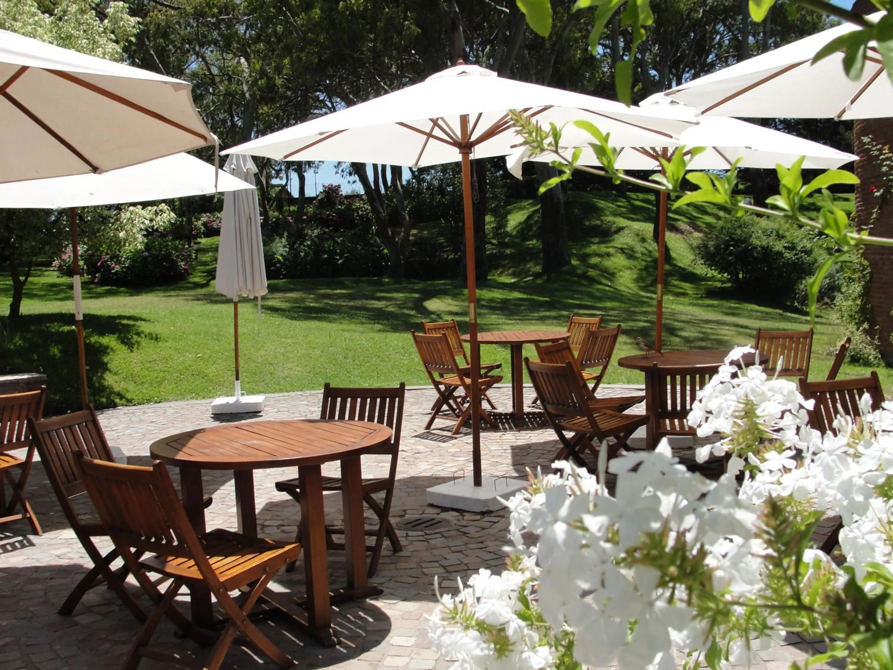 Patio in Hotel del Bosque