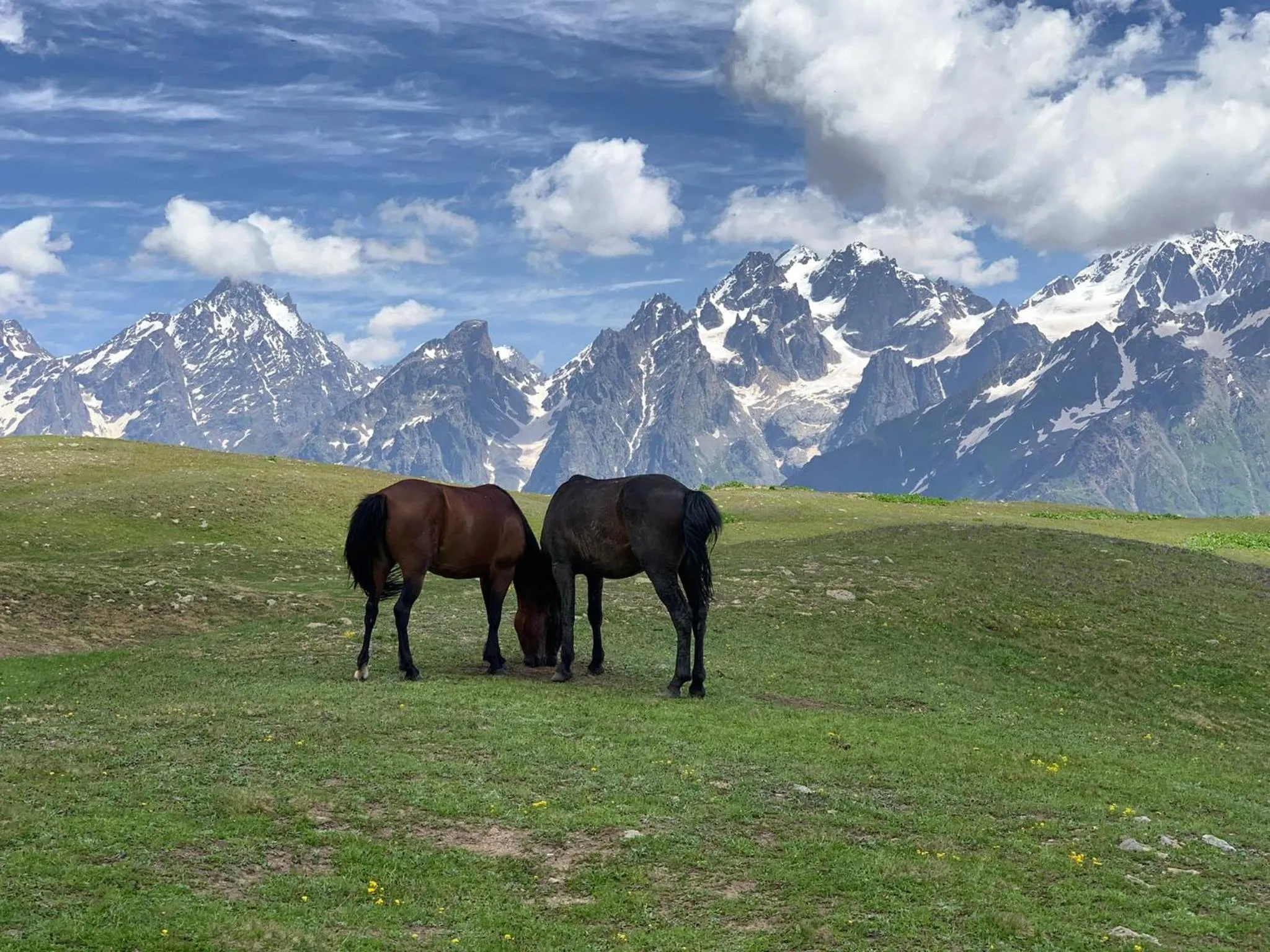 Day in Paliani Hotel