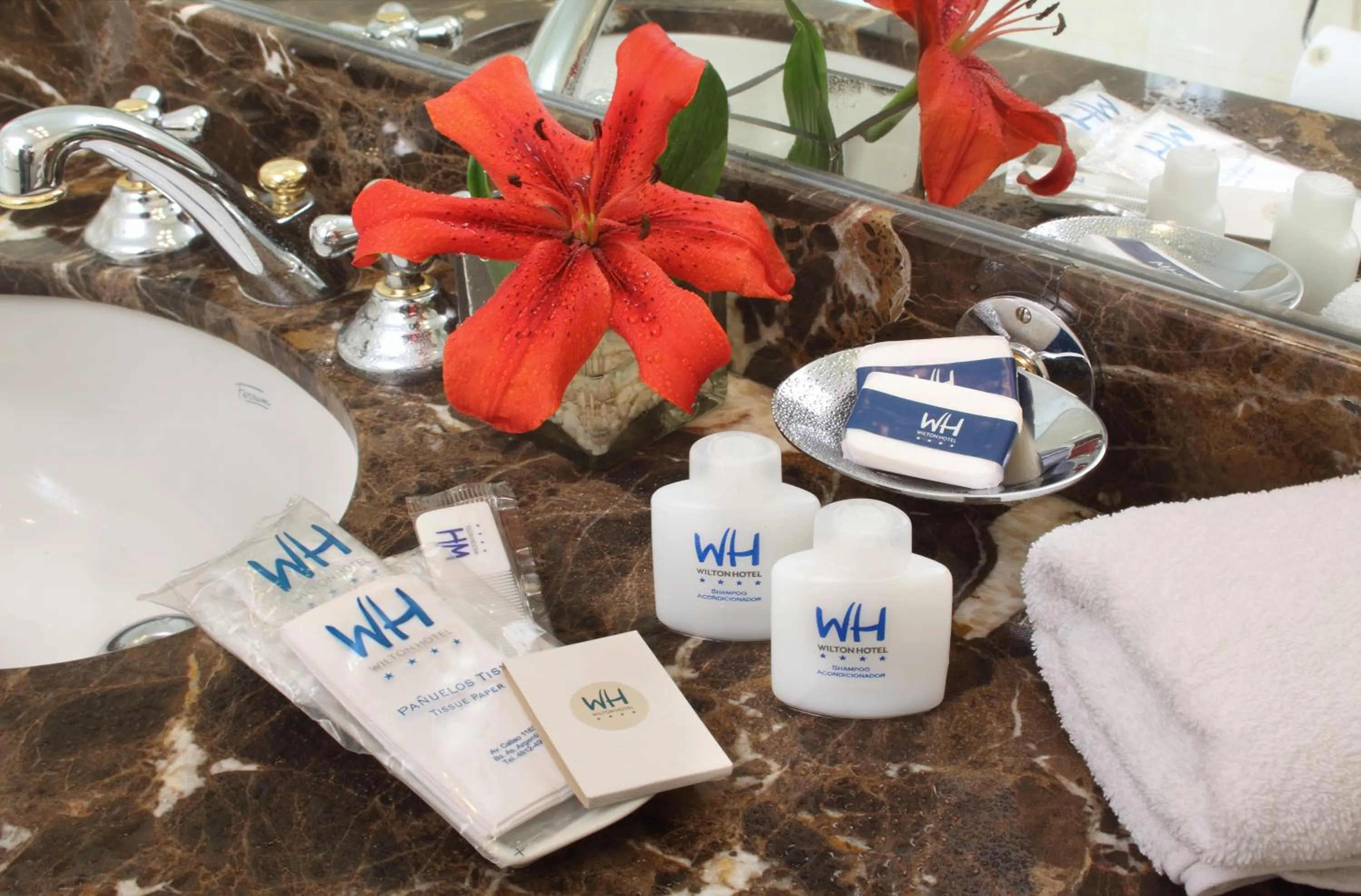 Bathroom in Wilton Hotel Buenos Aires